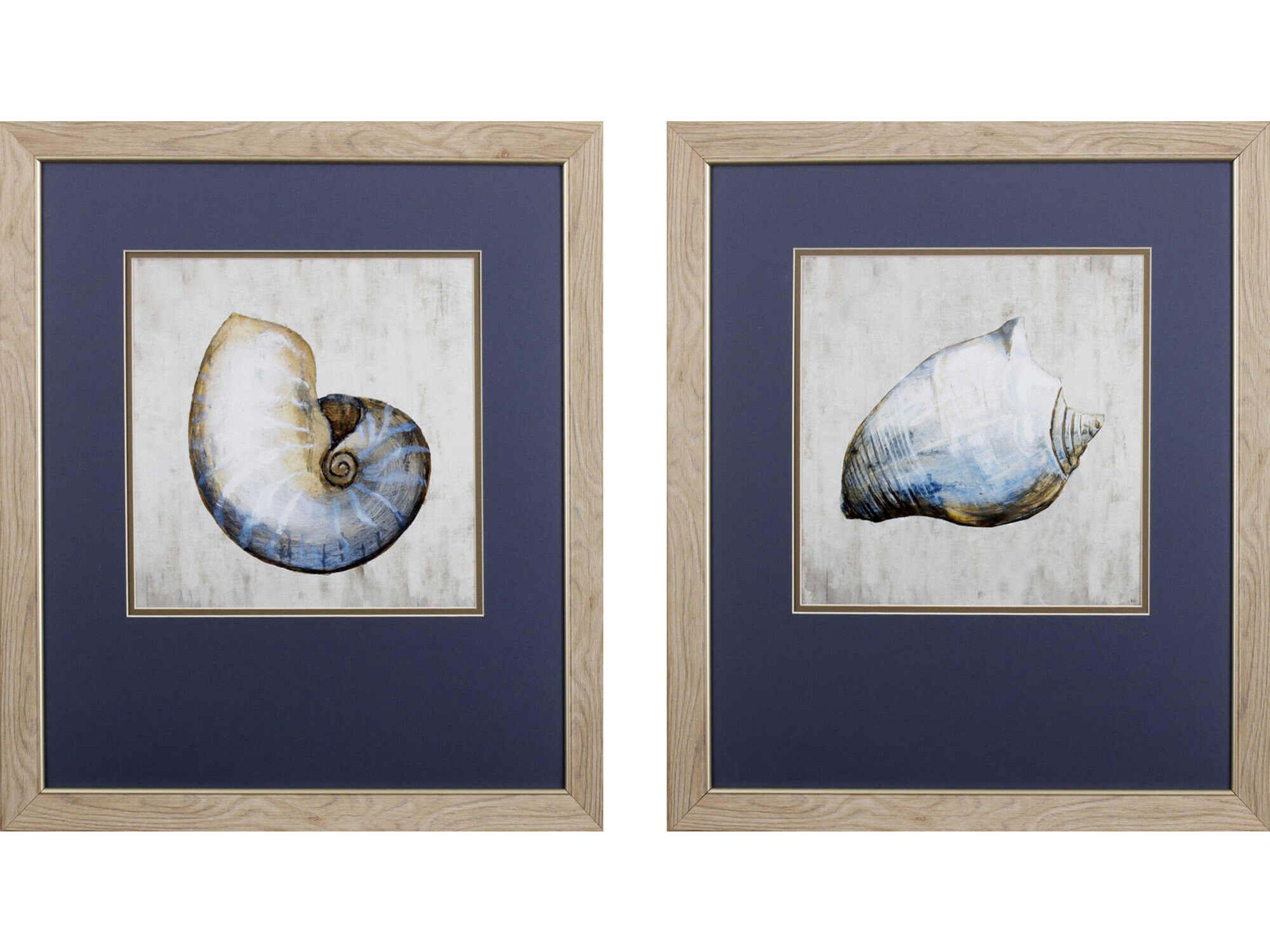 Paragon Waterside Simple Shell Wall Art Set of 2