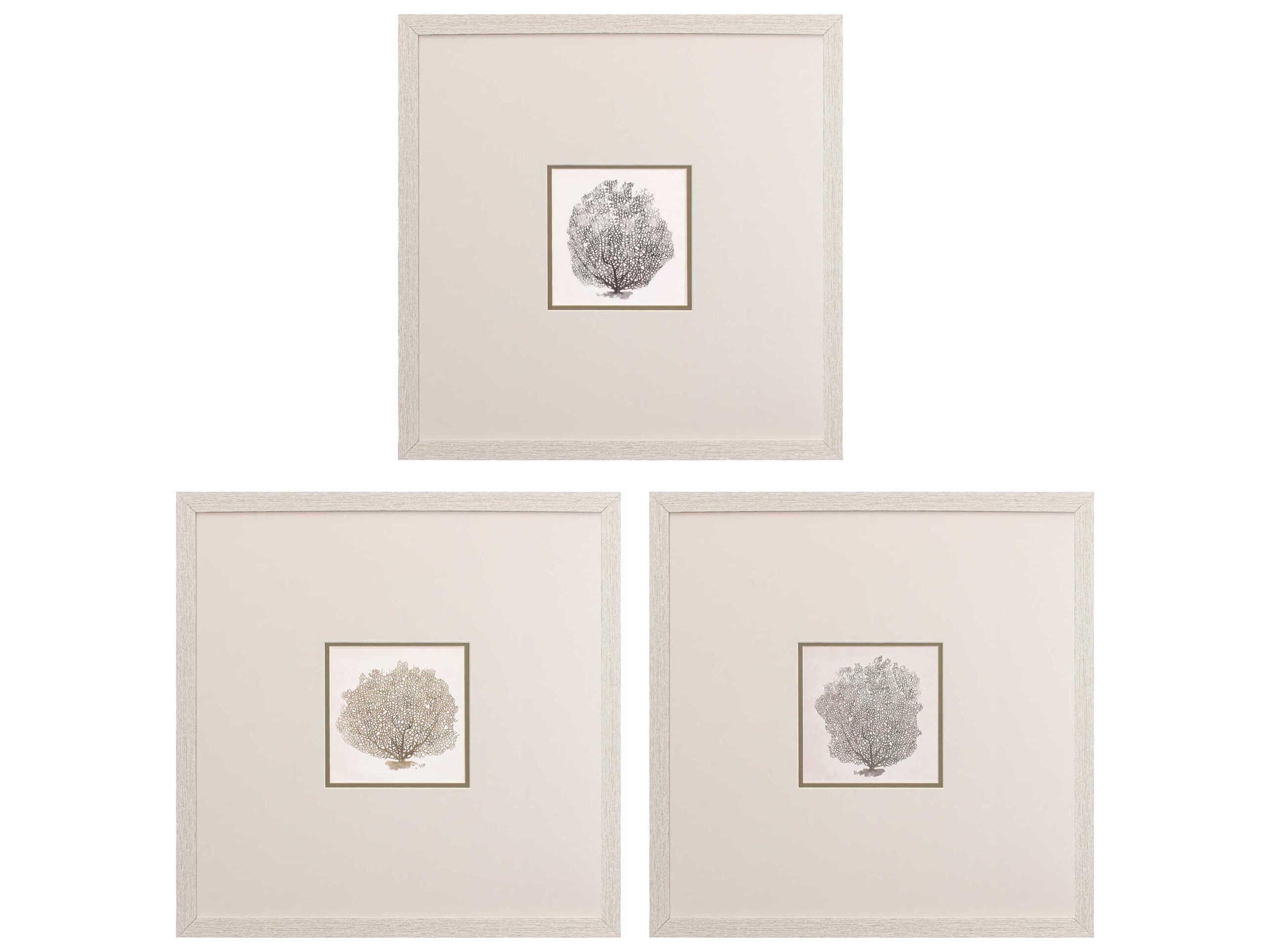 Paragon Waterside Corals-B Wall Art Set of 3