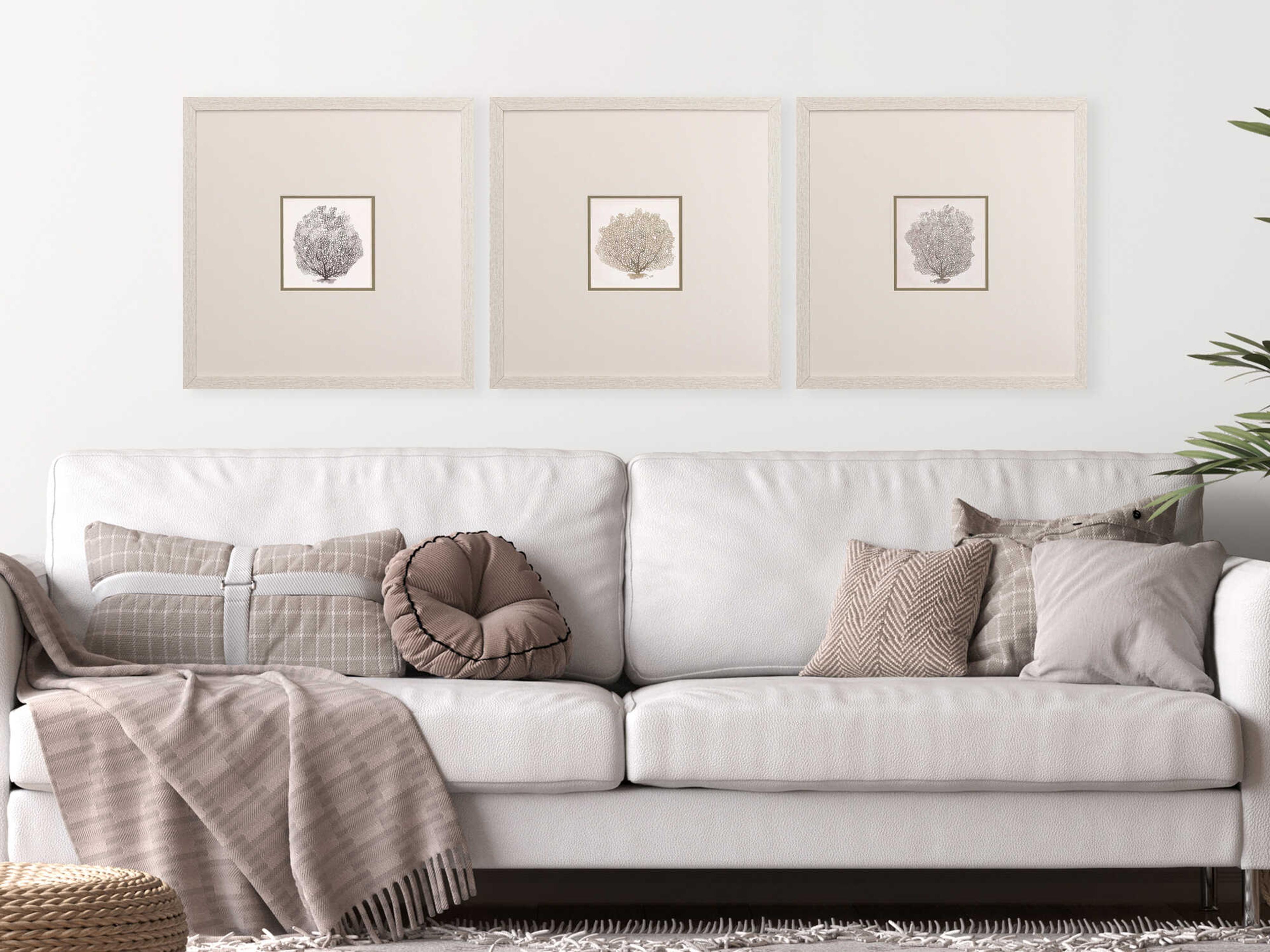 Paragon Waterside Corals-B Wall Art Set of 3