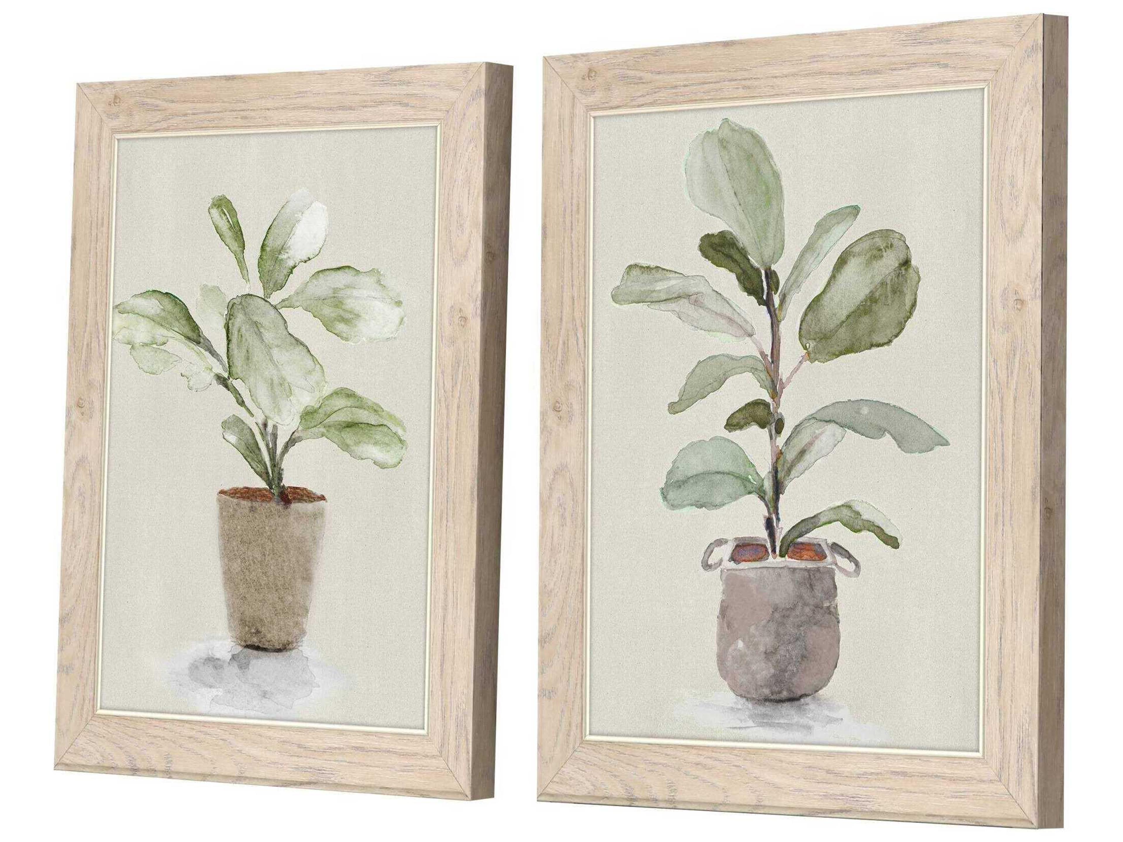 Paragon Florals Fiddle Fig Tree Wall Art Set of 2