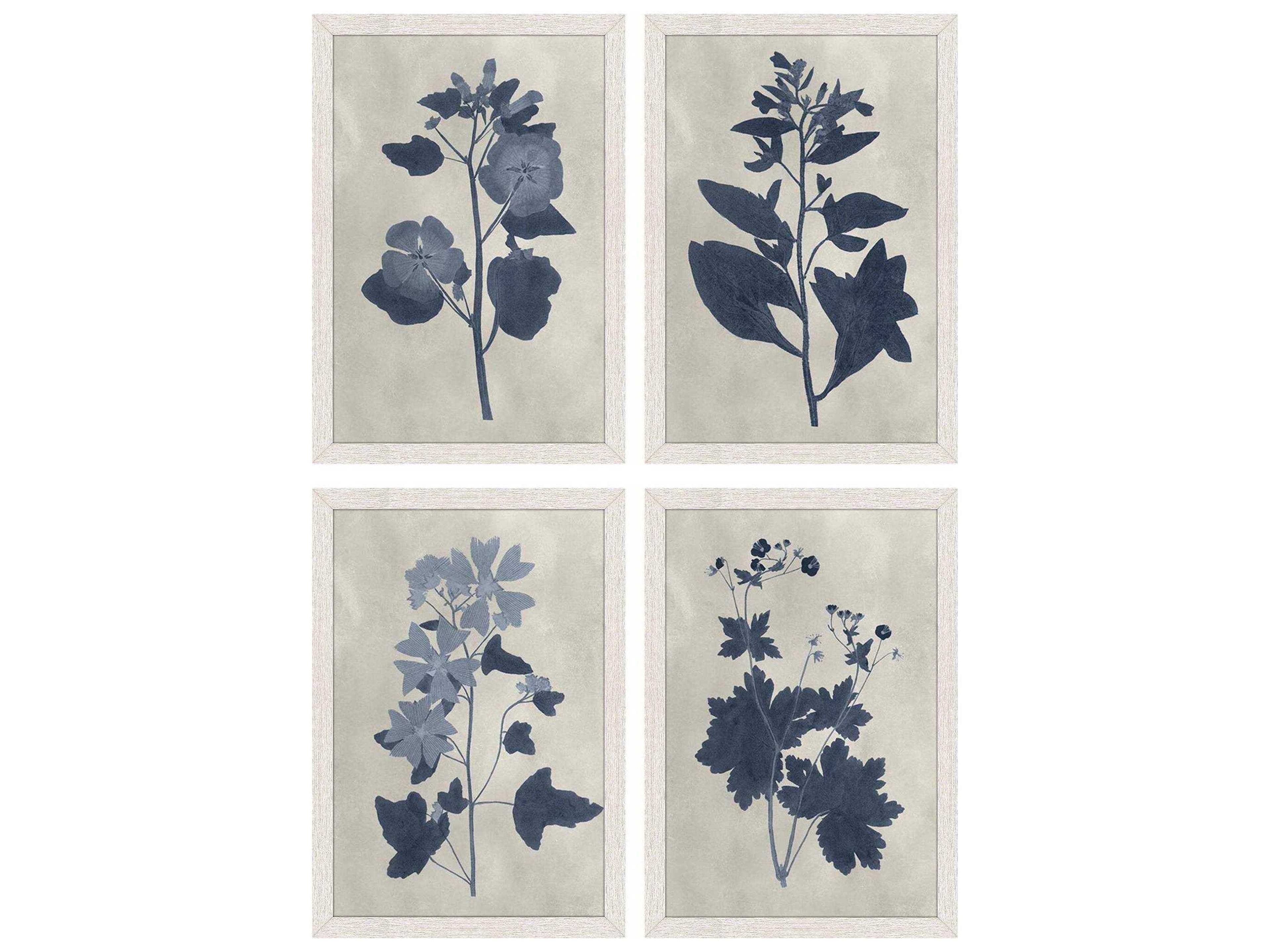 Florals Pressed Flower-II Wall Art Set of 4
