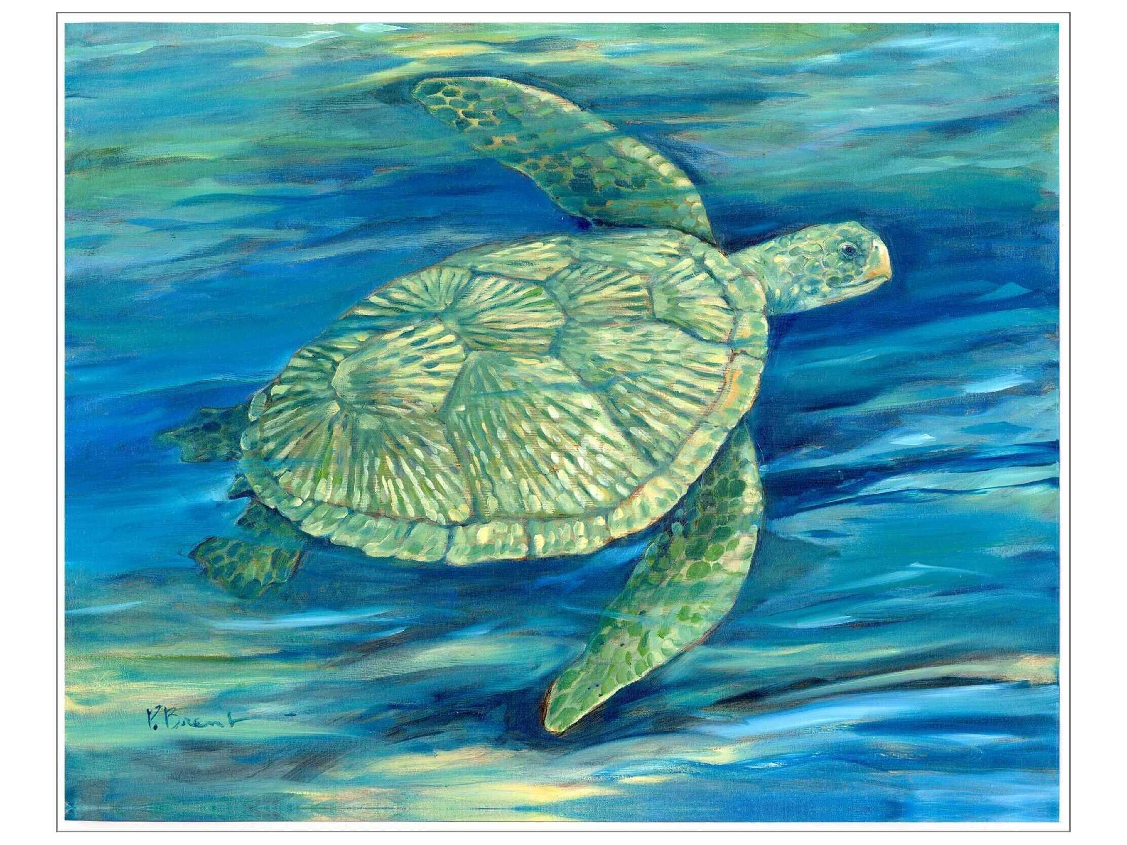 Animals Lagoon Turtle-III Canvas Wall Art
