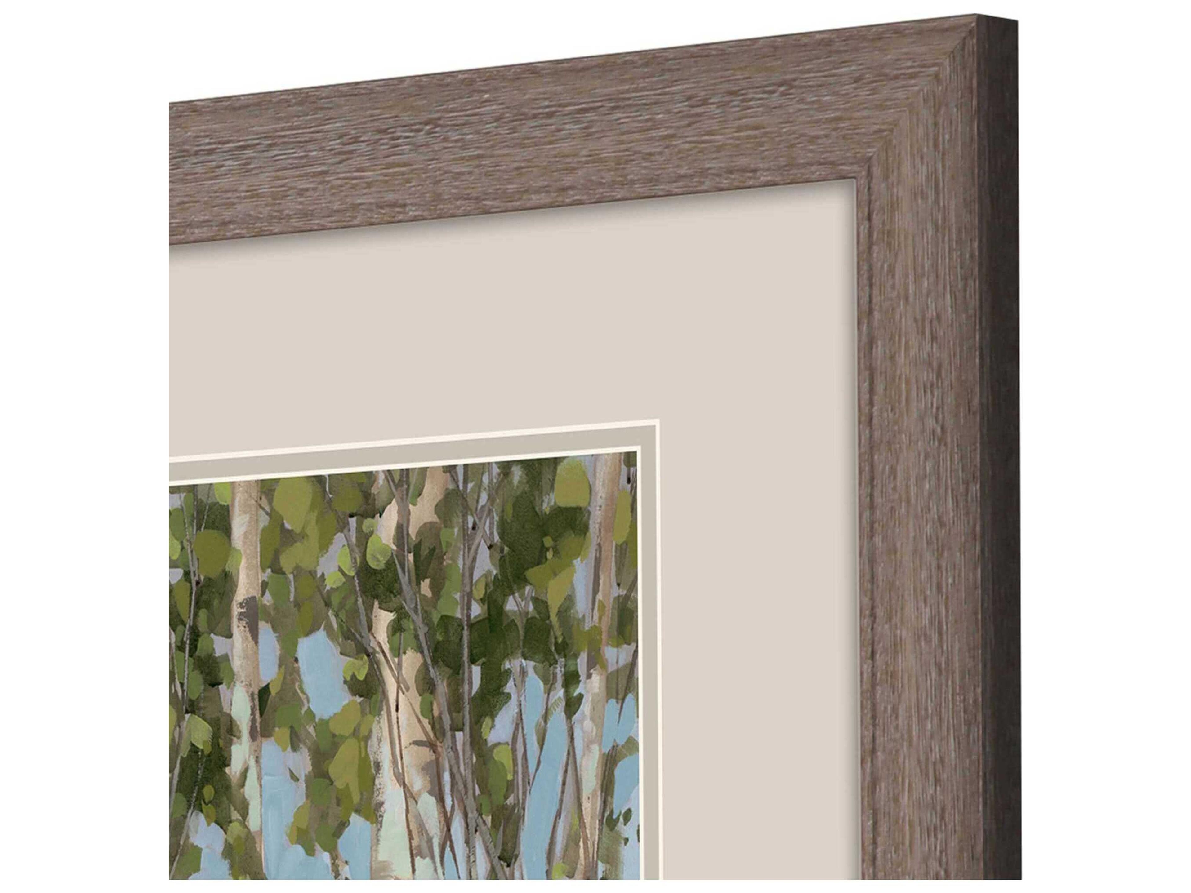 Paragon Aspen Spring Wall Art Set of 2