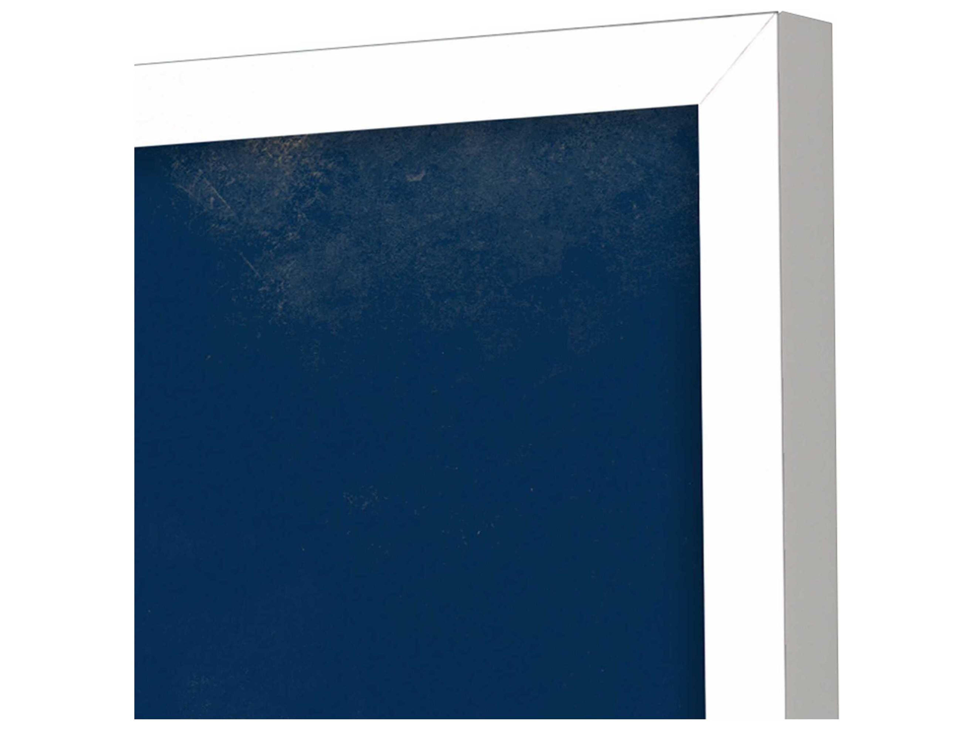 Paragon Coastal Coral Wall Art Set of 3