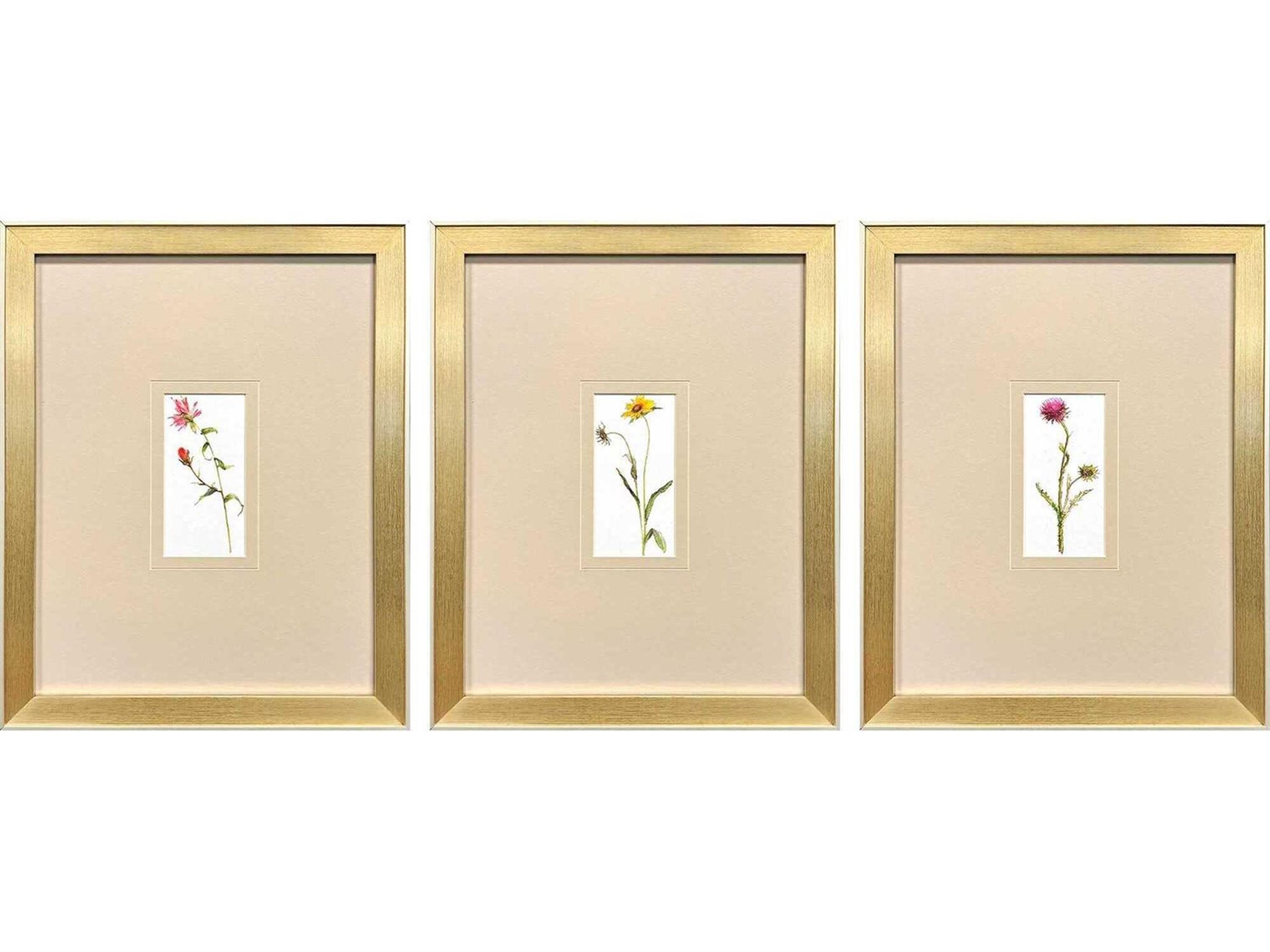 Paragon Florals Pretty Florals-I Wall Art Set of 3
