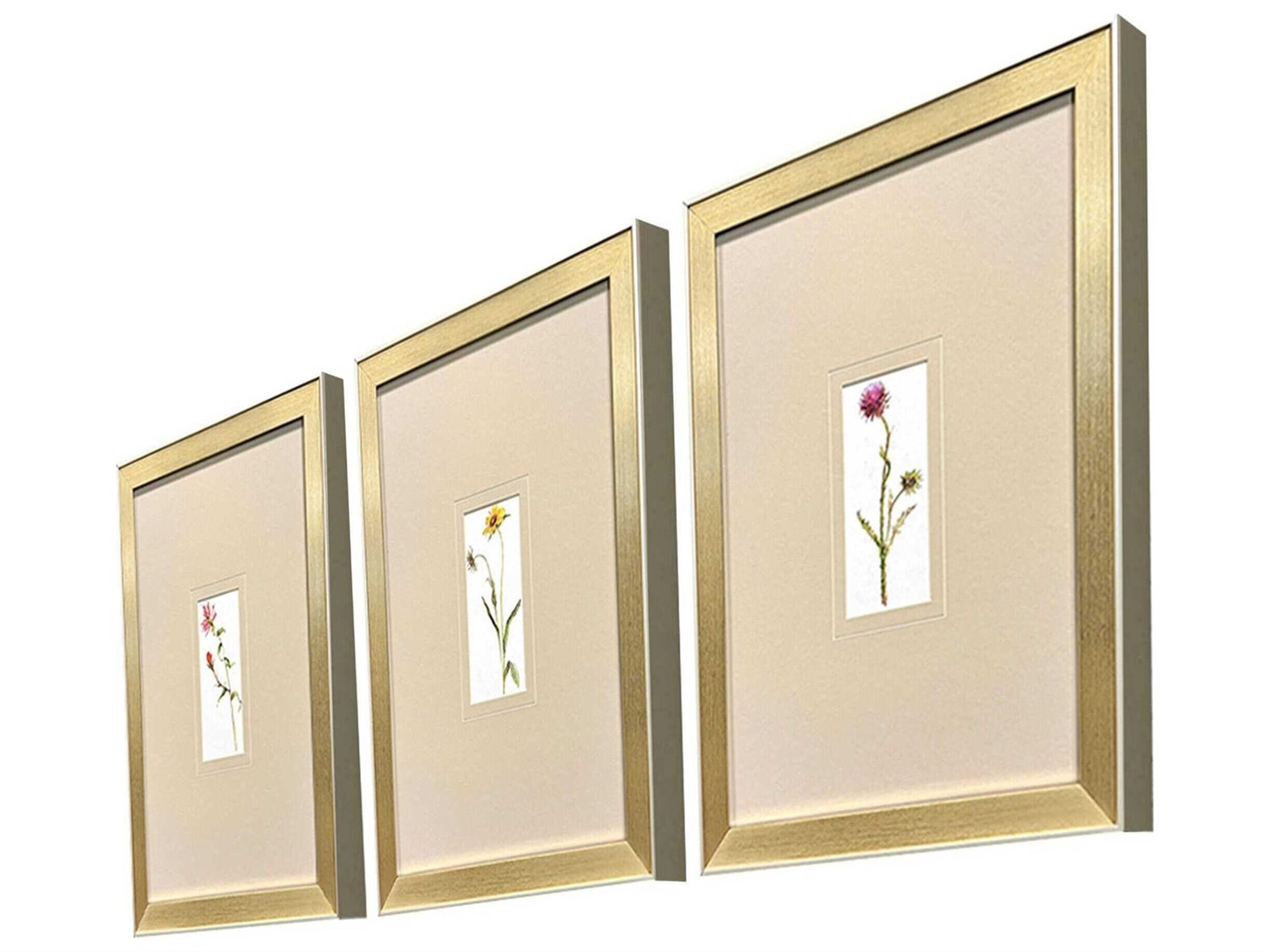 Paragon Florals Pretty Florals-I Wall Art Set of 3