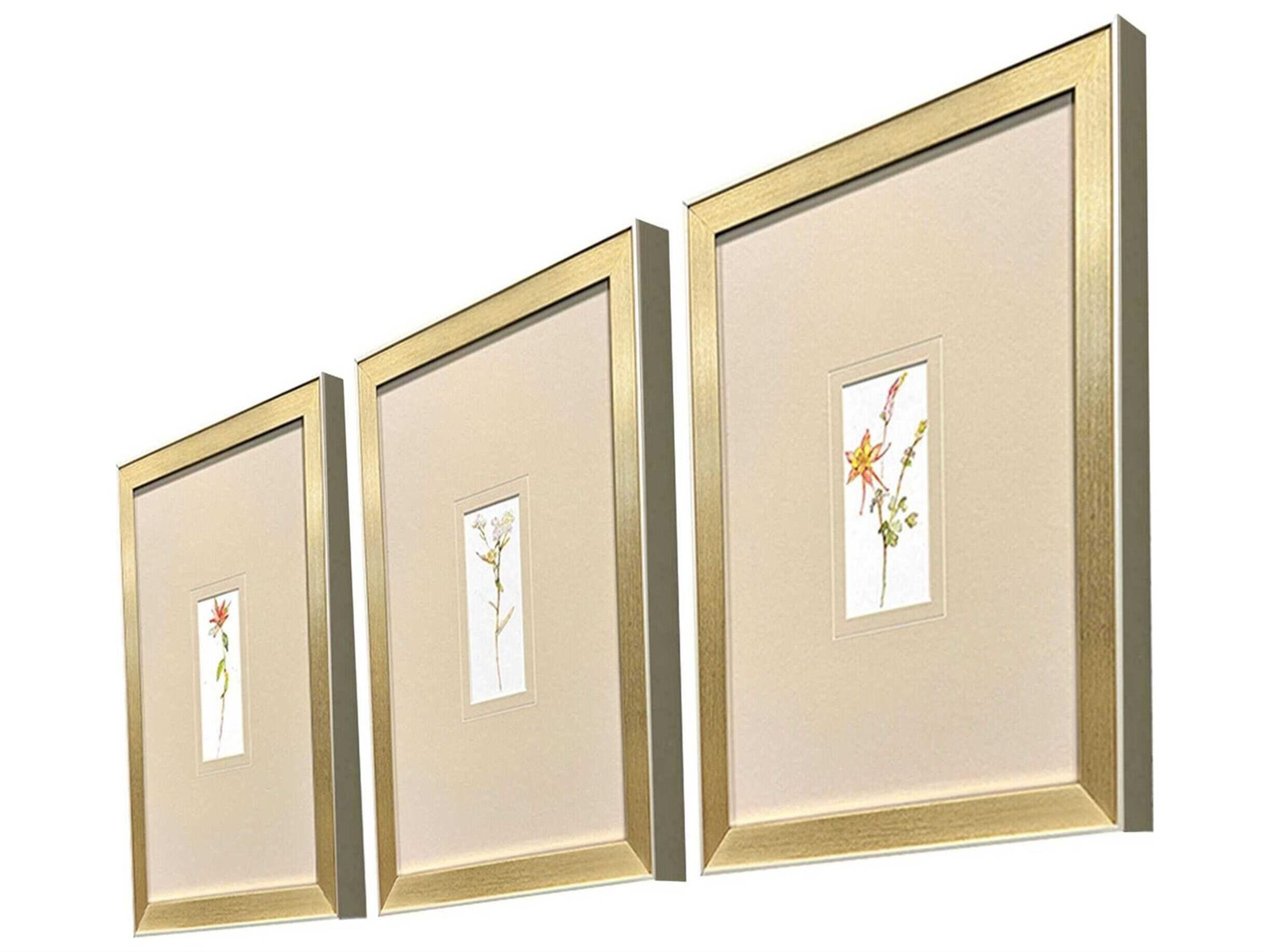 Paragon Florals Pretty Florals-II Wall Art Set of 3