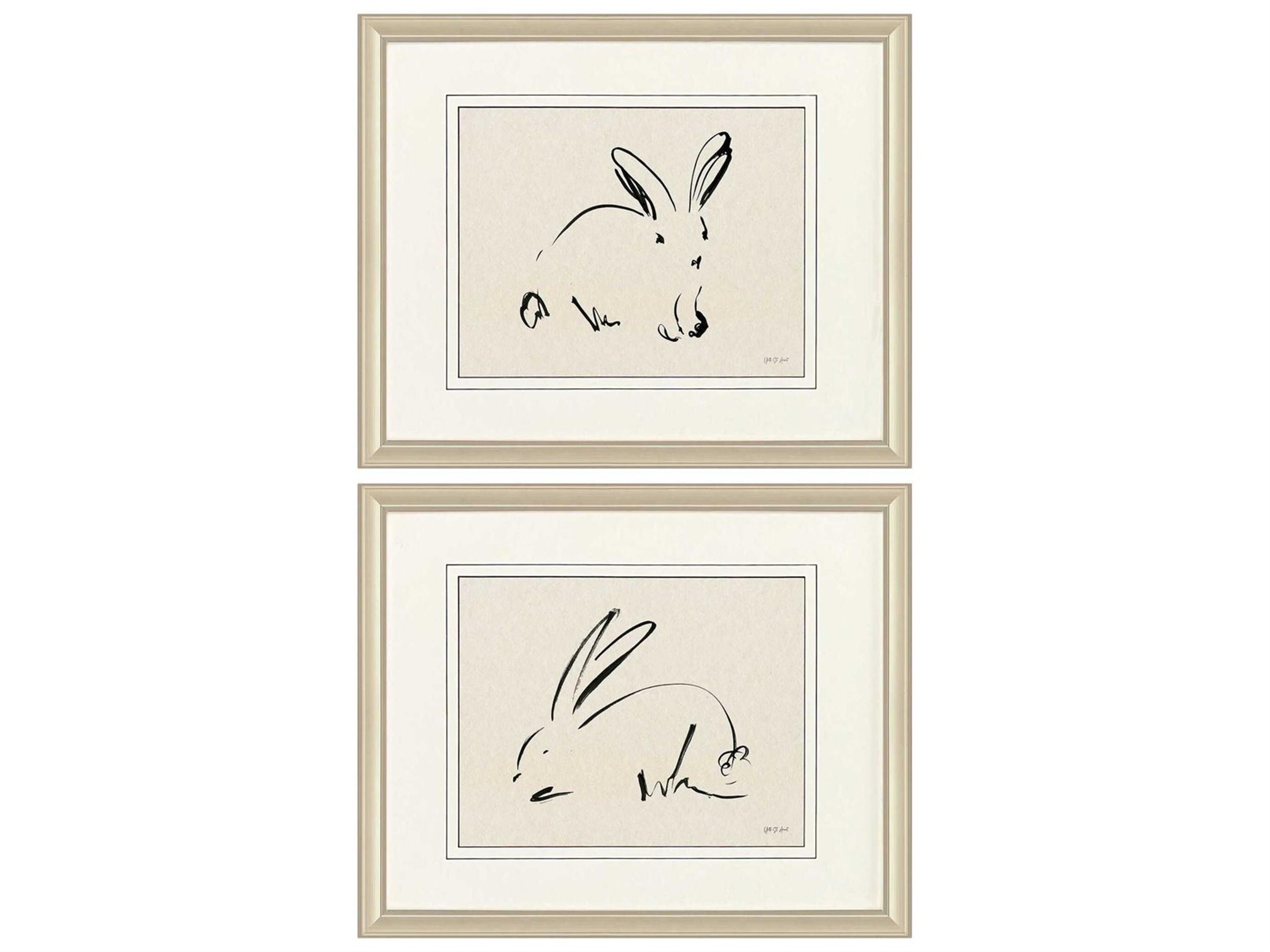Paragon Animals Illustrative Bunny Wall Art Set of 2
