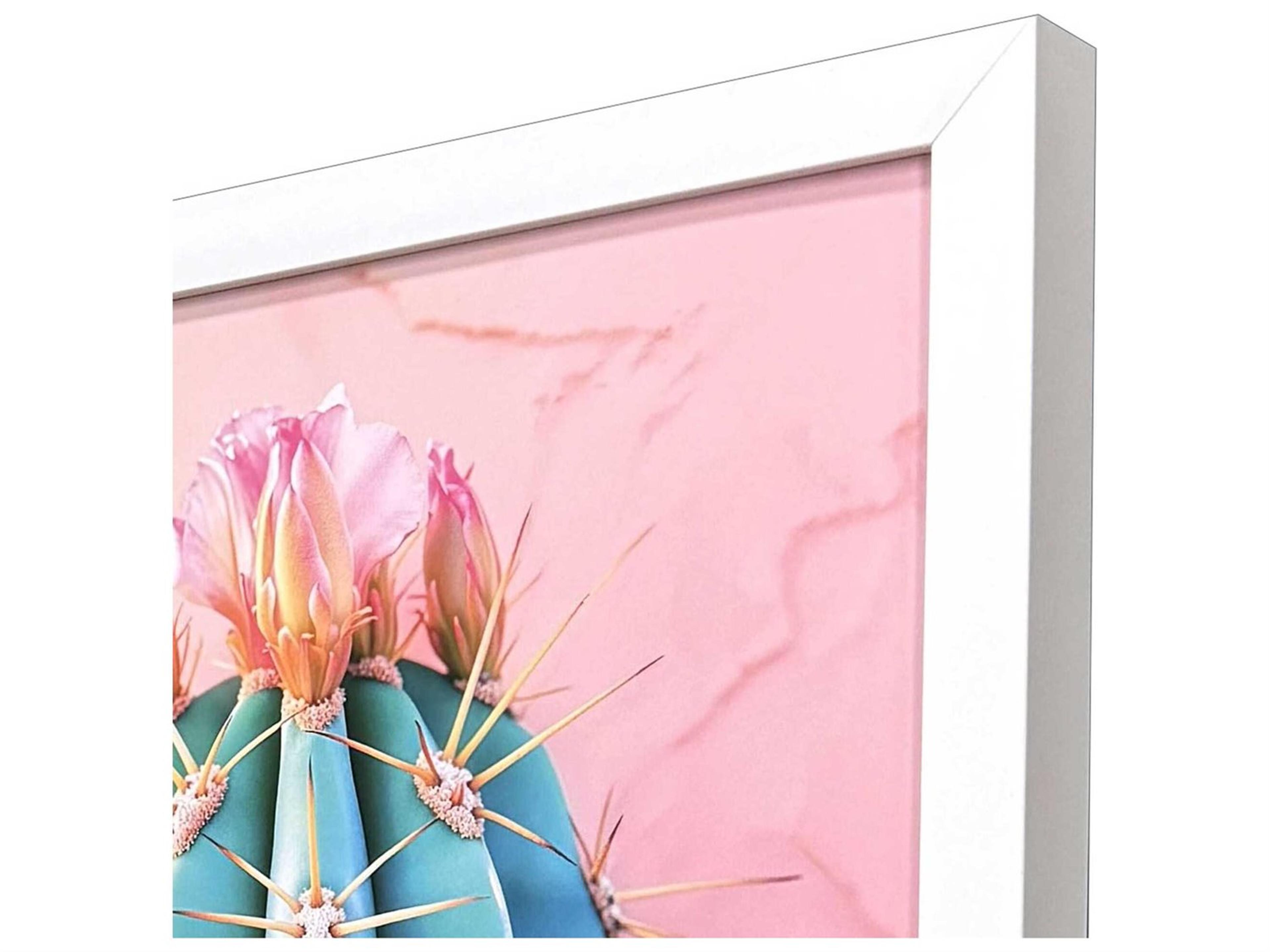 Paragon Florals Blush Botanicals-II Wall Art Set of 2
