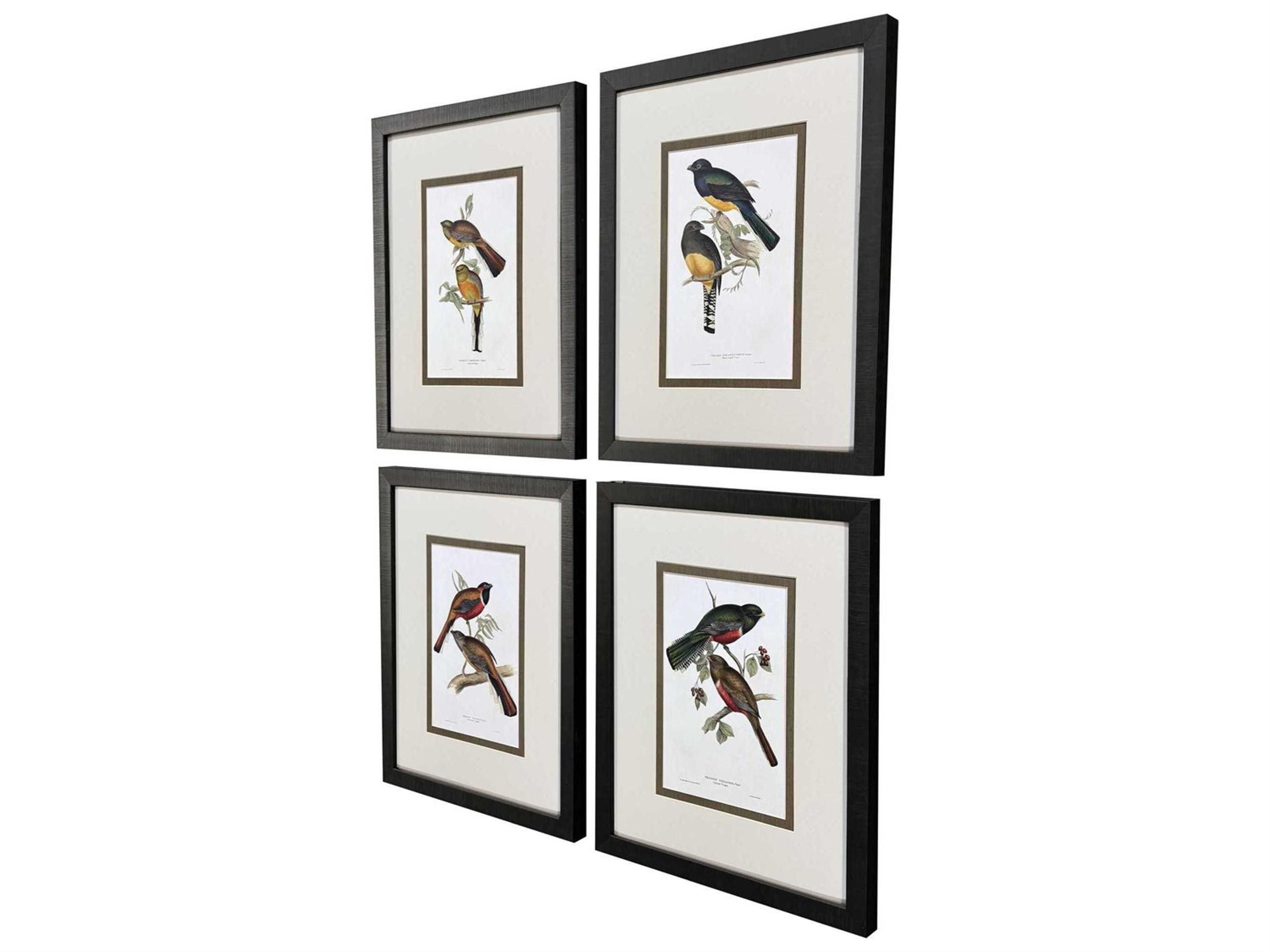 Paragon Animals Elegant Trogons Wall Art Set of 4