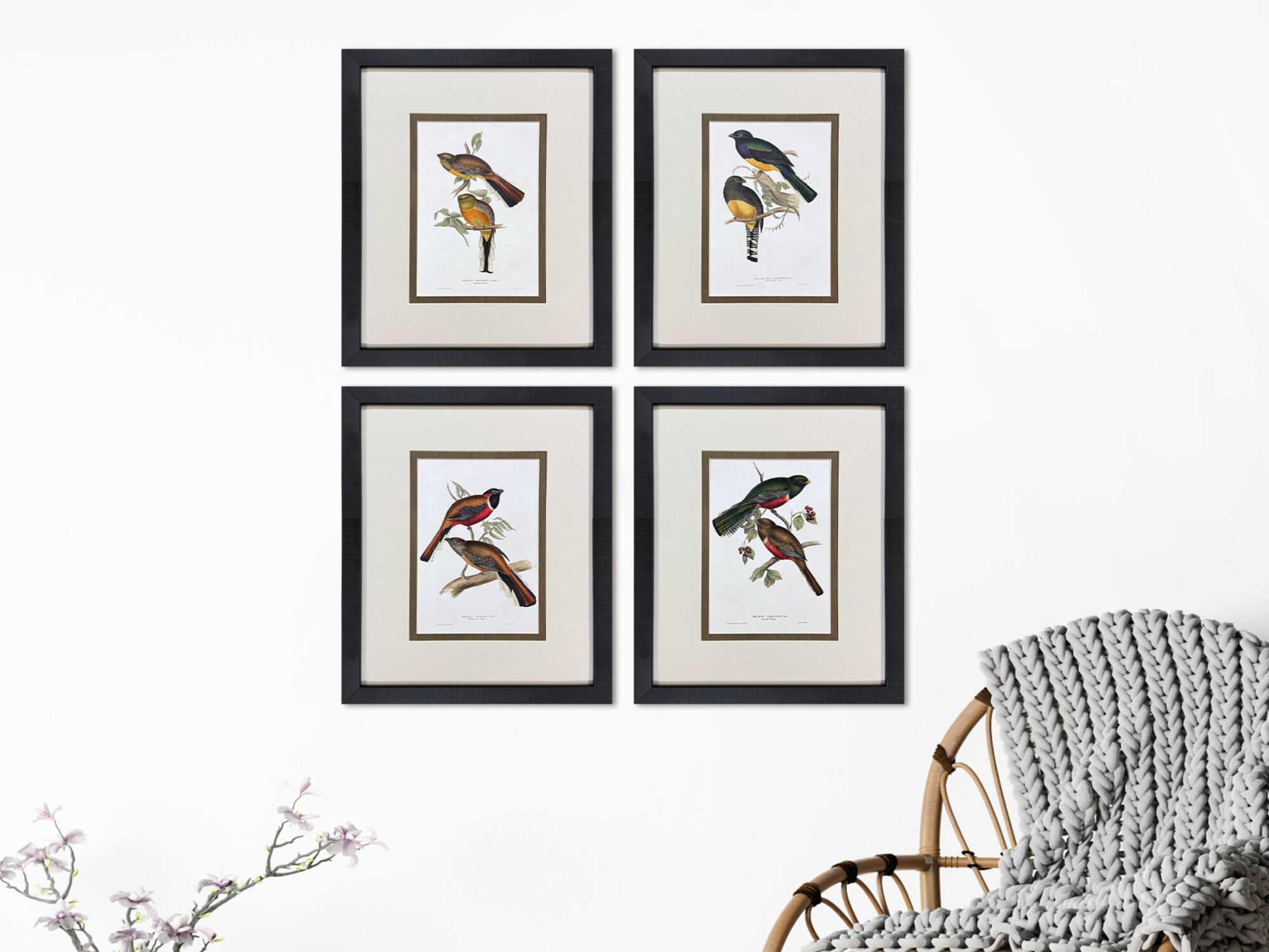 Paragon Animals Elegant Trogons Wall Art Set of 4