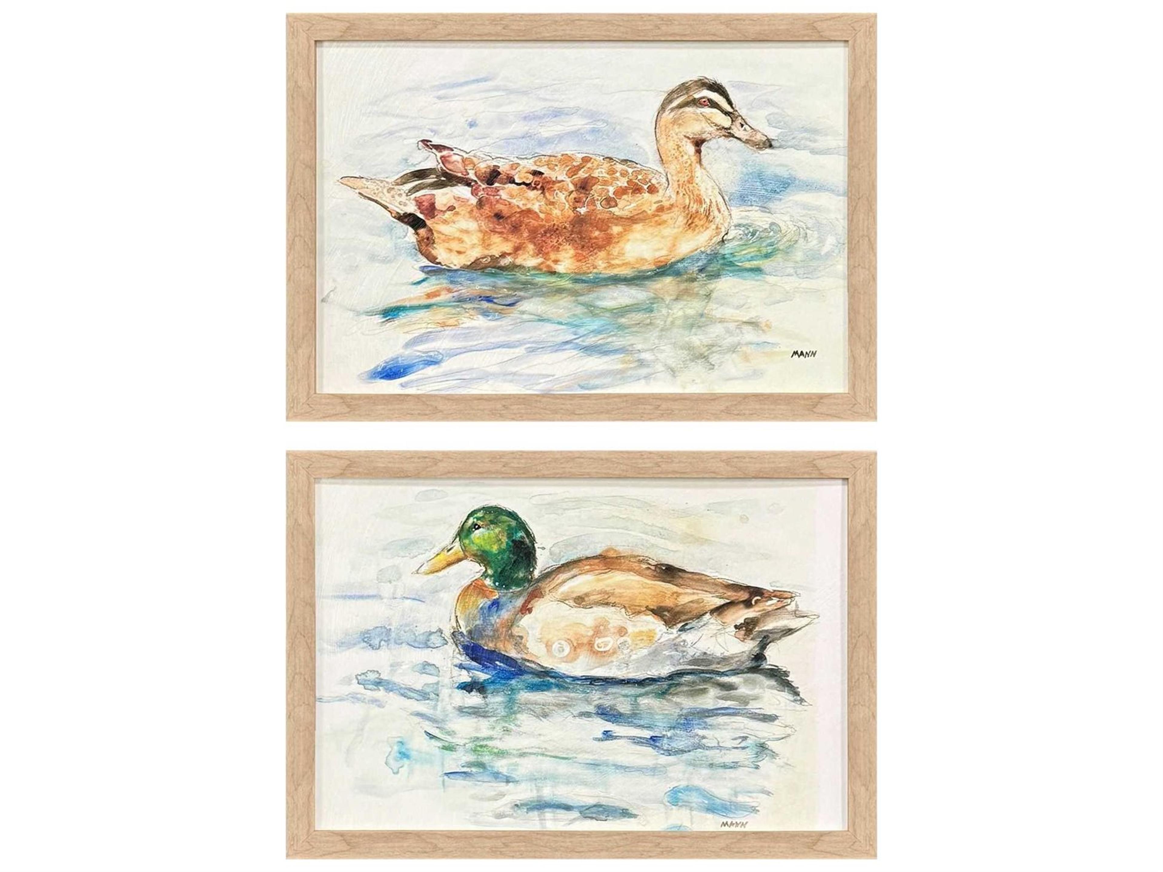 Animals Water Duck Wall Art Set of 2