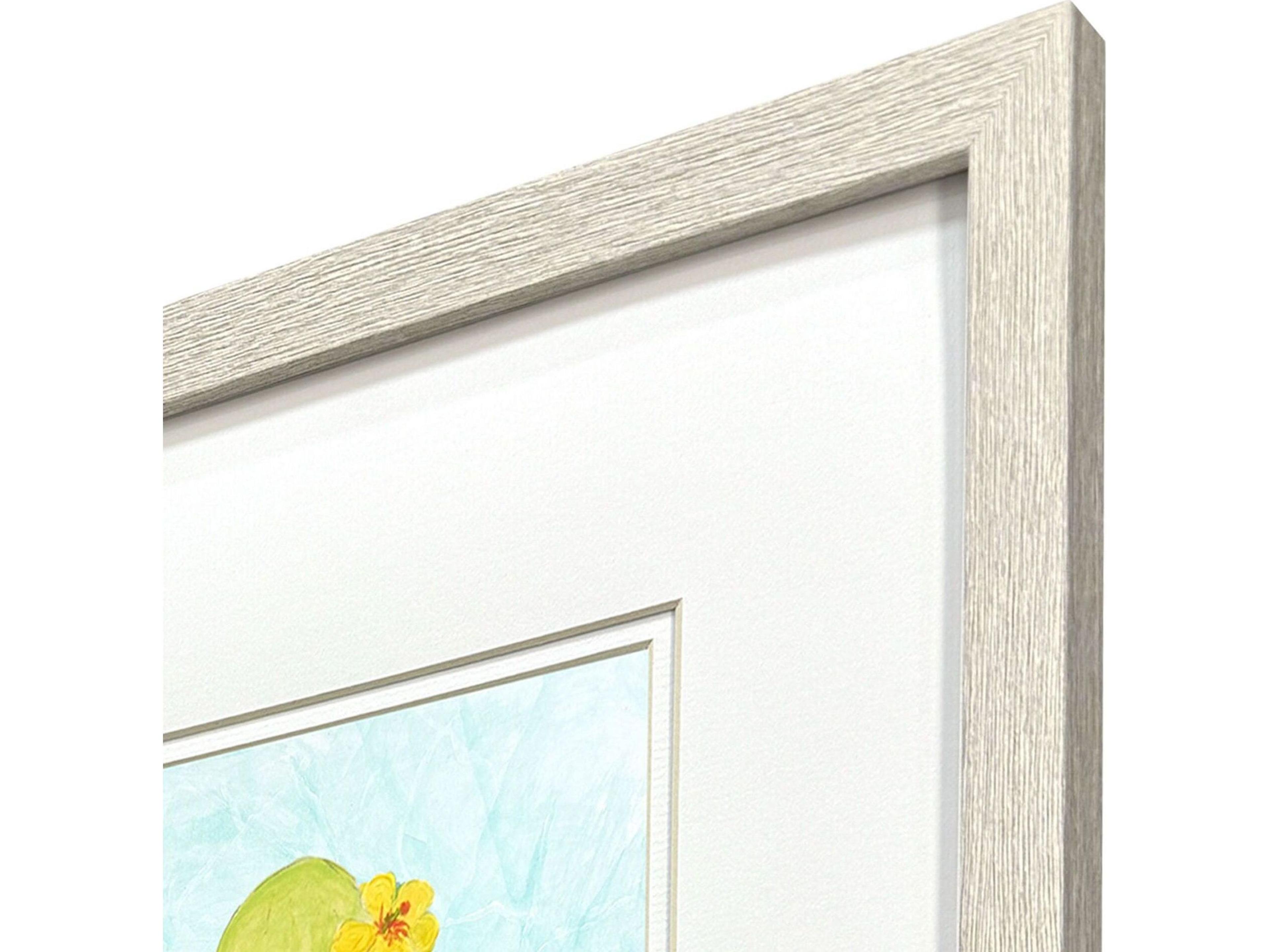 Paragon Baby Octopus Framed Art - Set of 4