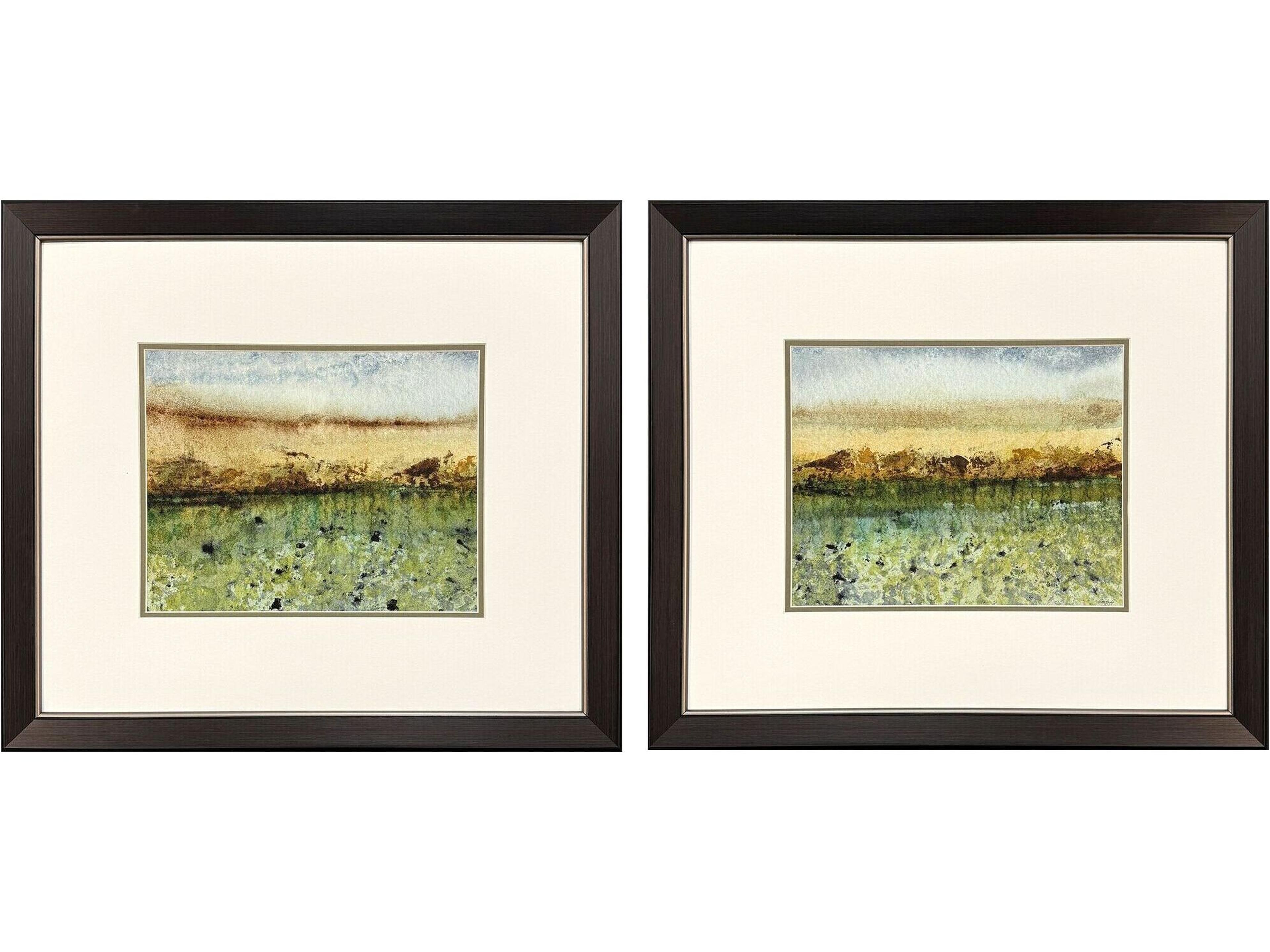Paragon Abstract Vast Field Framed Art - Set of 2