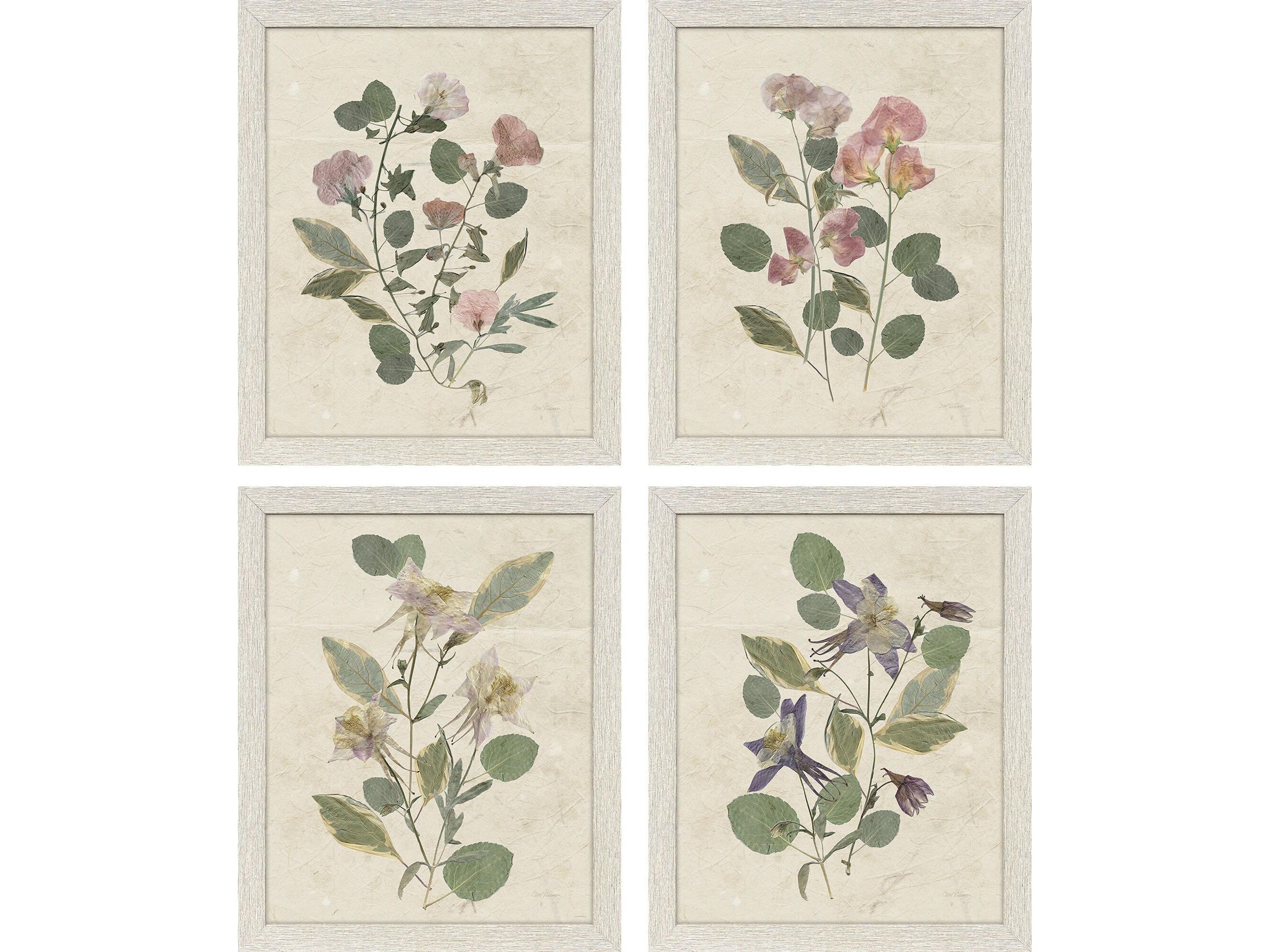 Paragon Pressed Arrangement Framed Art - Set of 4