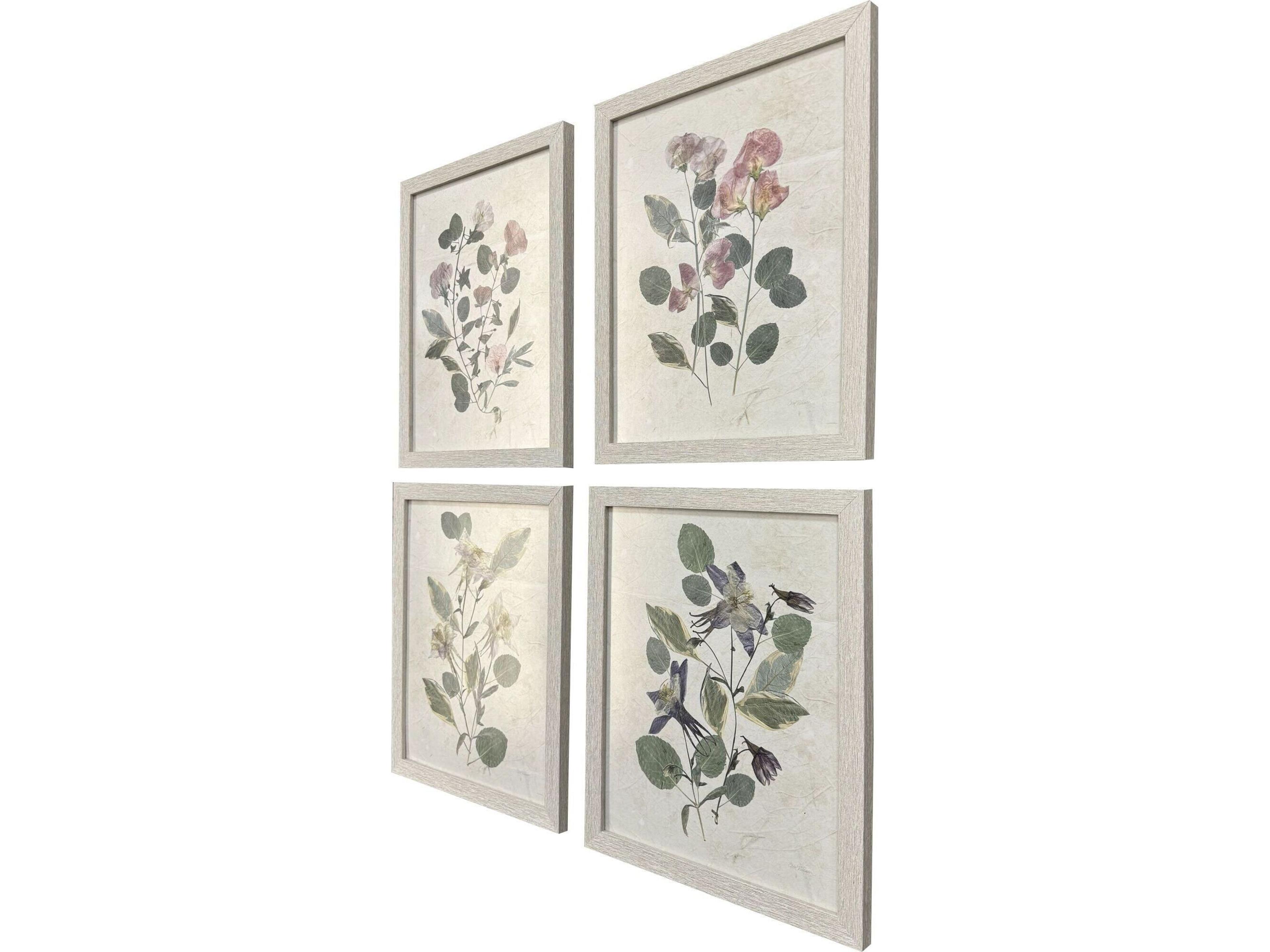 Paragon Pressed Arrangement Framed Art - Set of 4