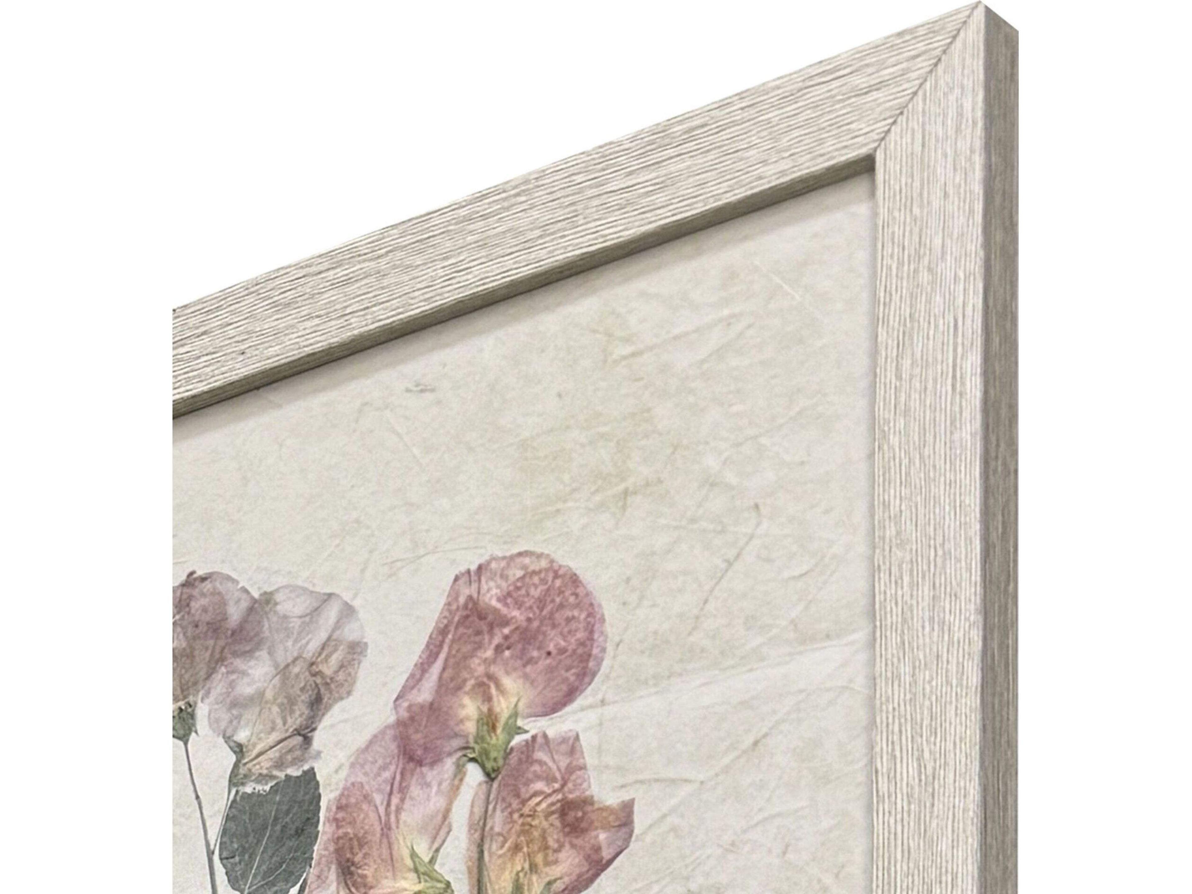 Paragon Pressed Arrangement Framed Art - Set of 4