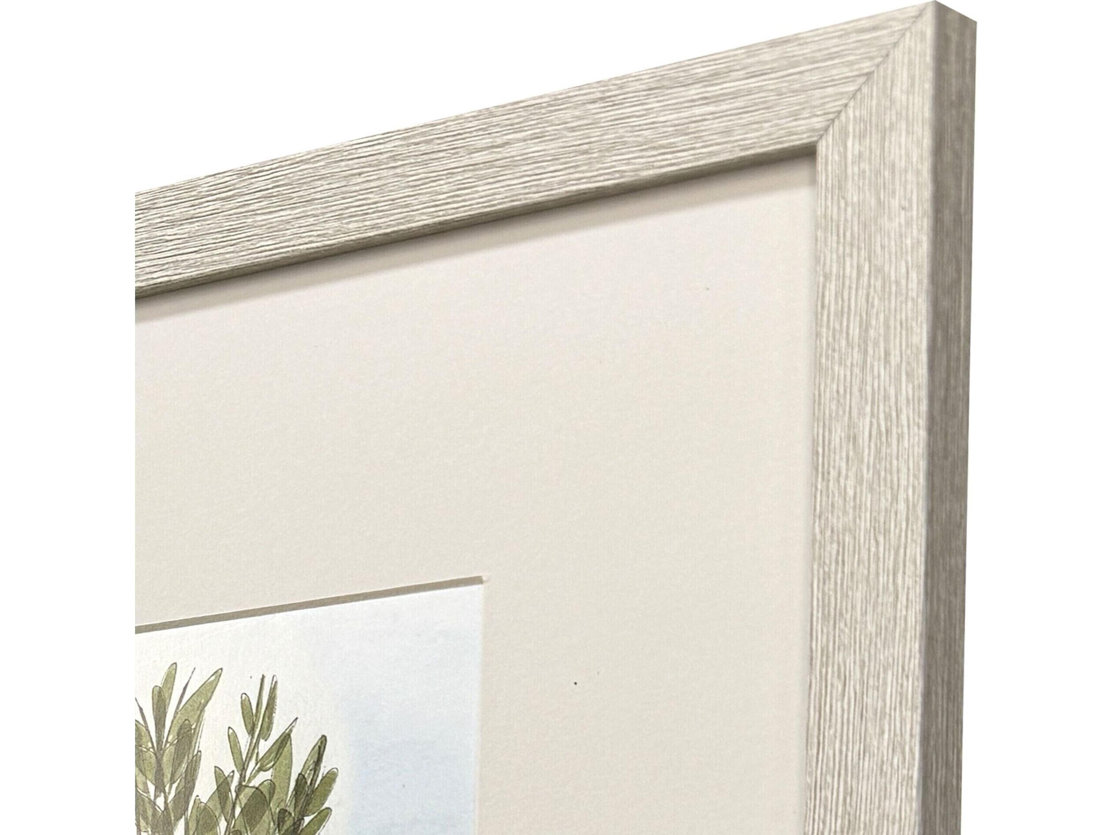 Paragon Pot of Herbs Framed Art - Set of 2