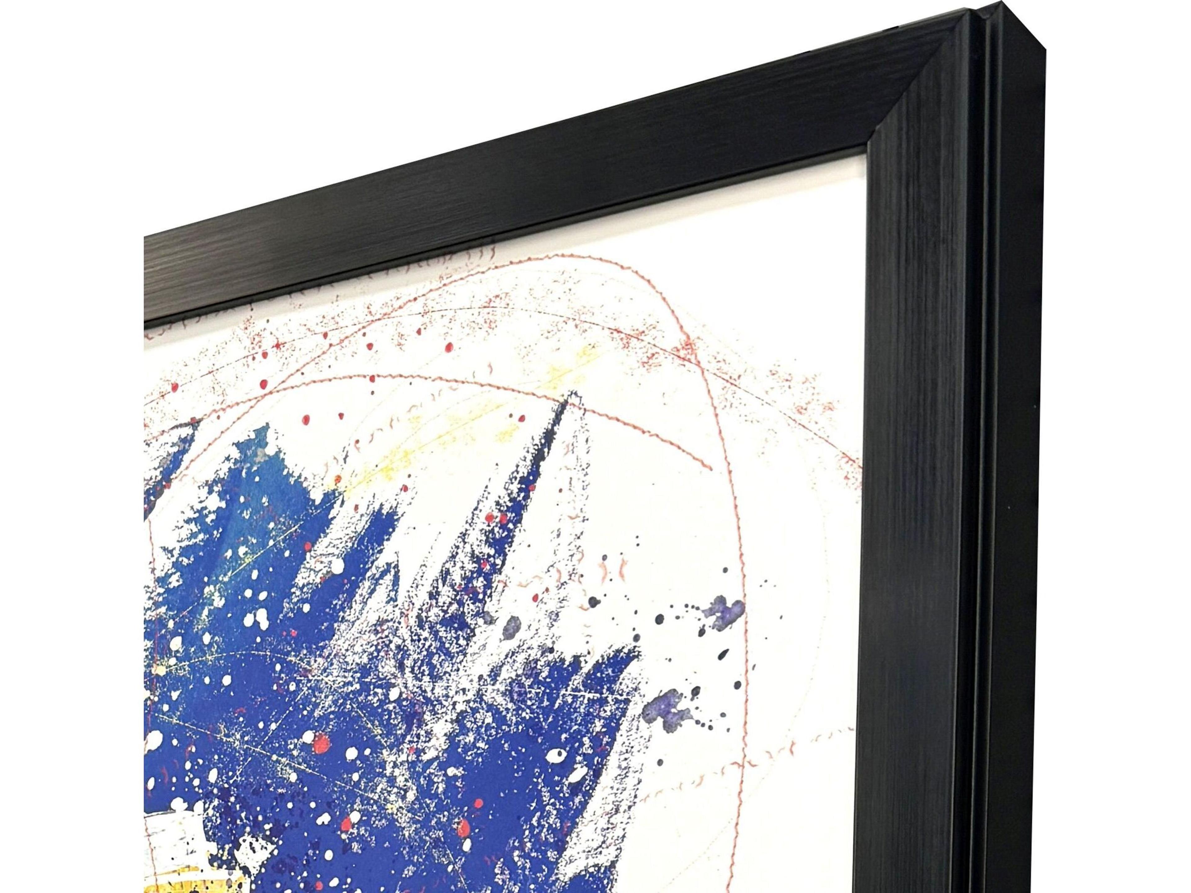 Paragon Born to Fly Framed Art