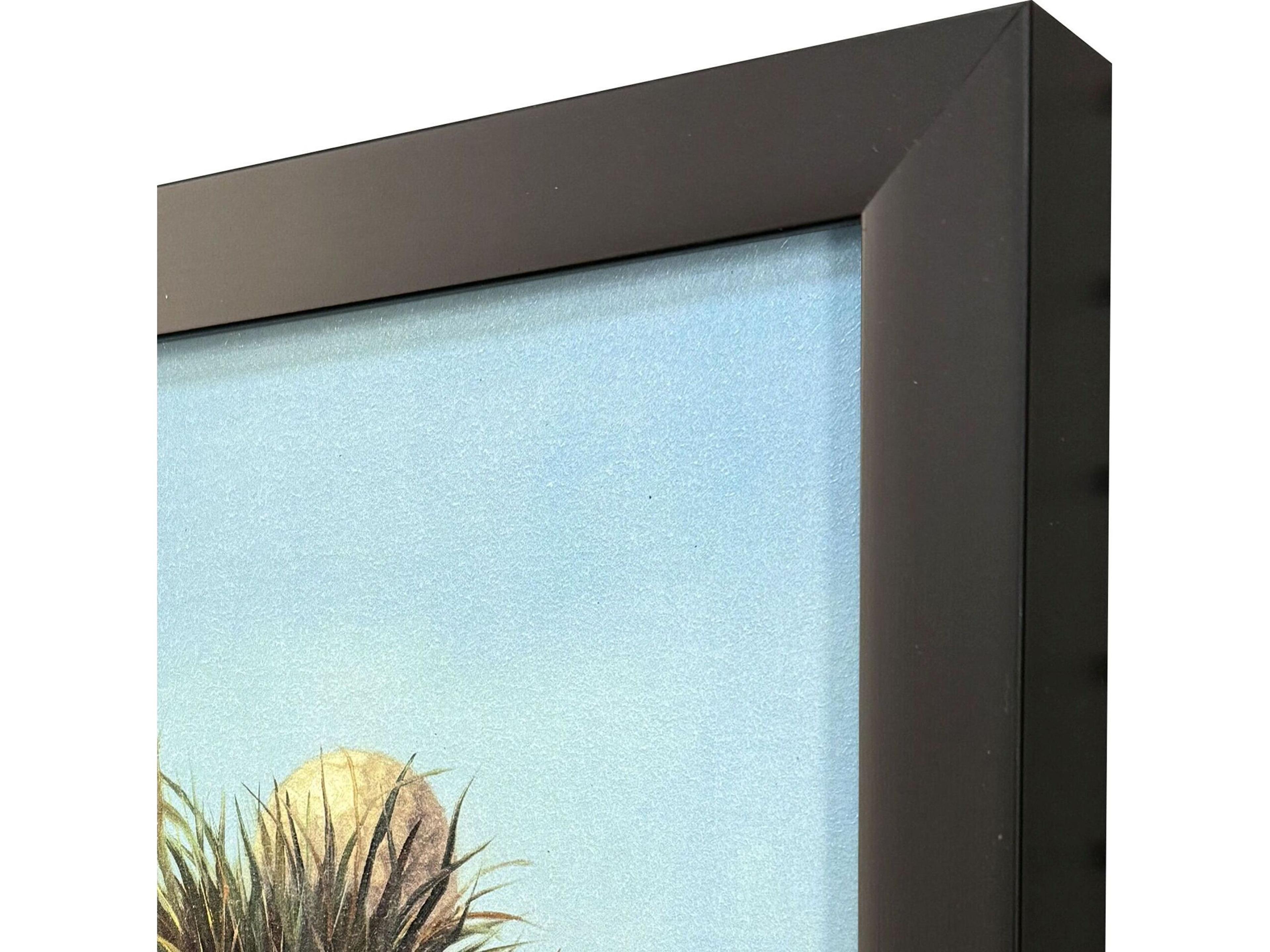 Paragon Ball Hog No. 2 Non-Glass Framed Art