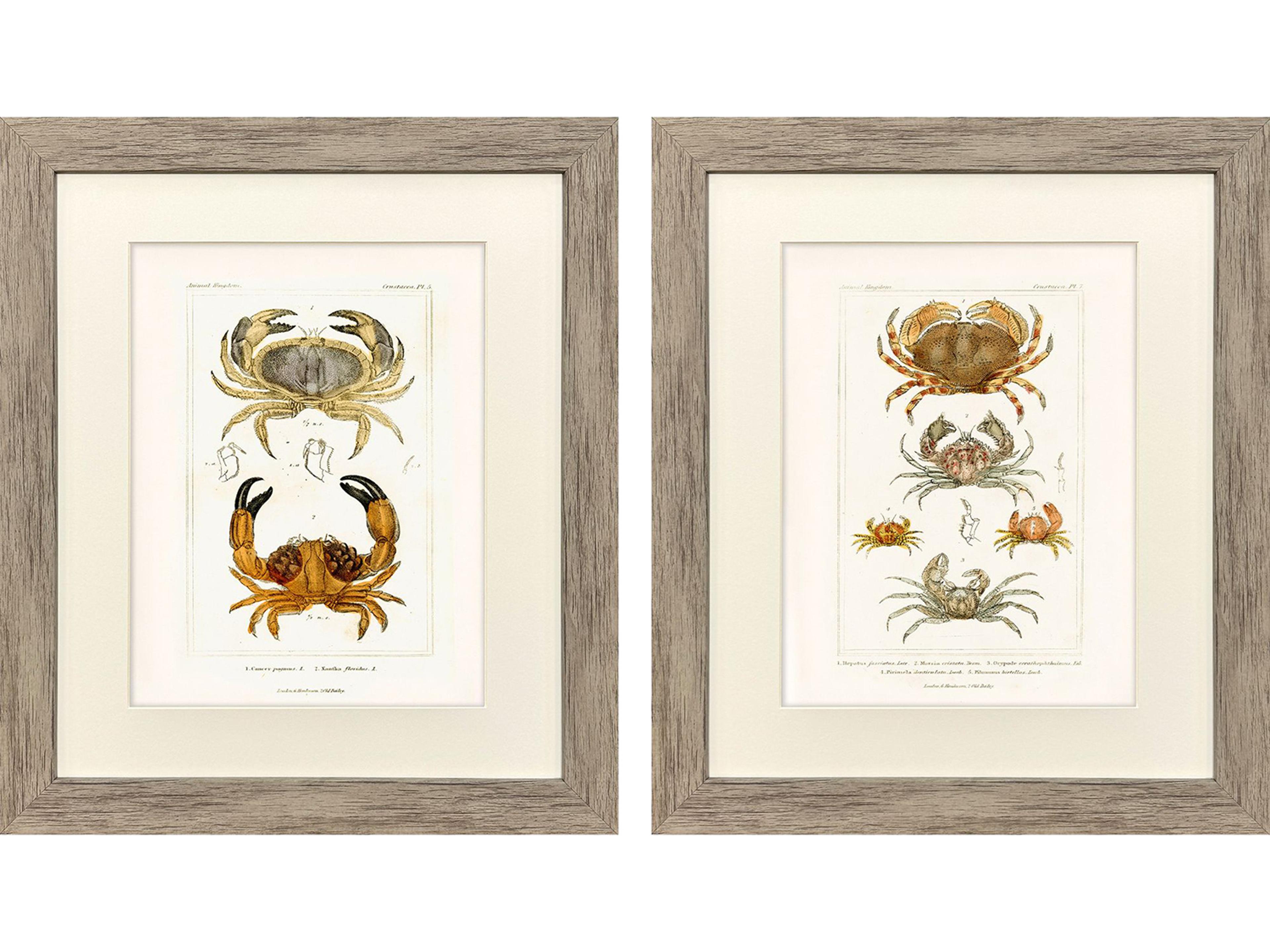 Antique Crab Framed Art - Set of 2