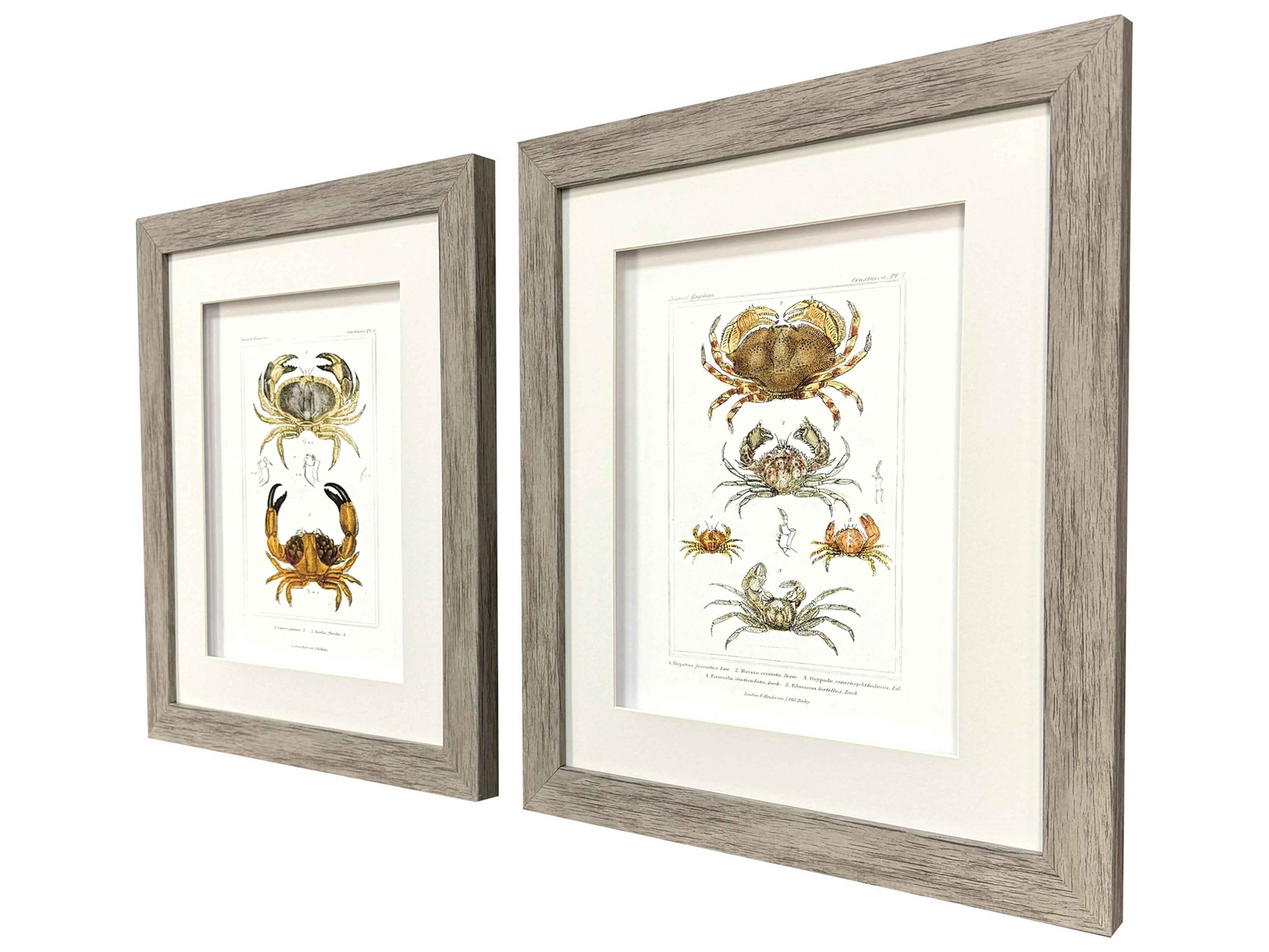 Paragon Antique Crab Framed Art - Set of 2