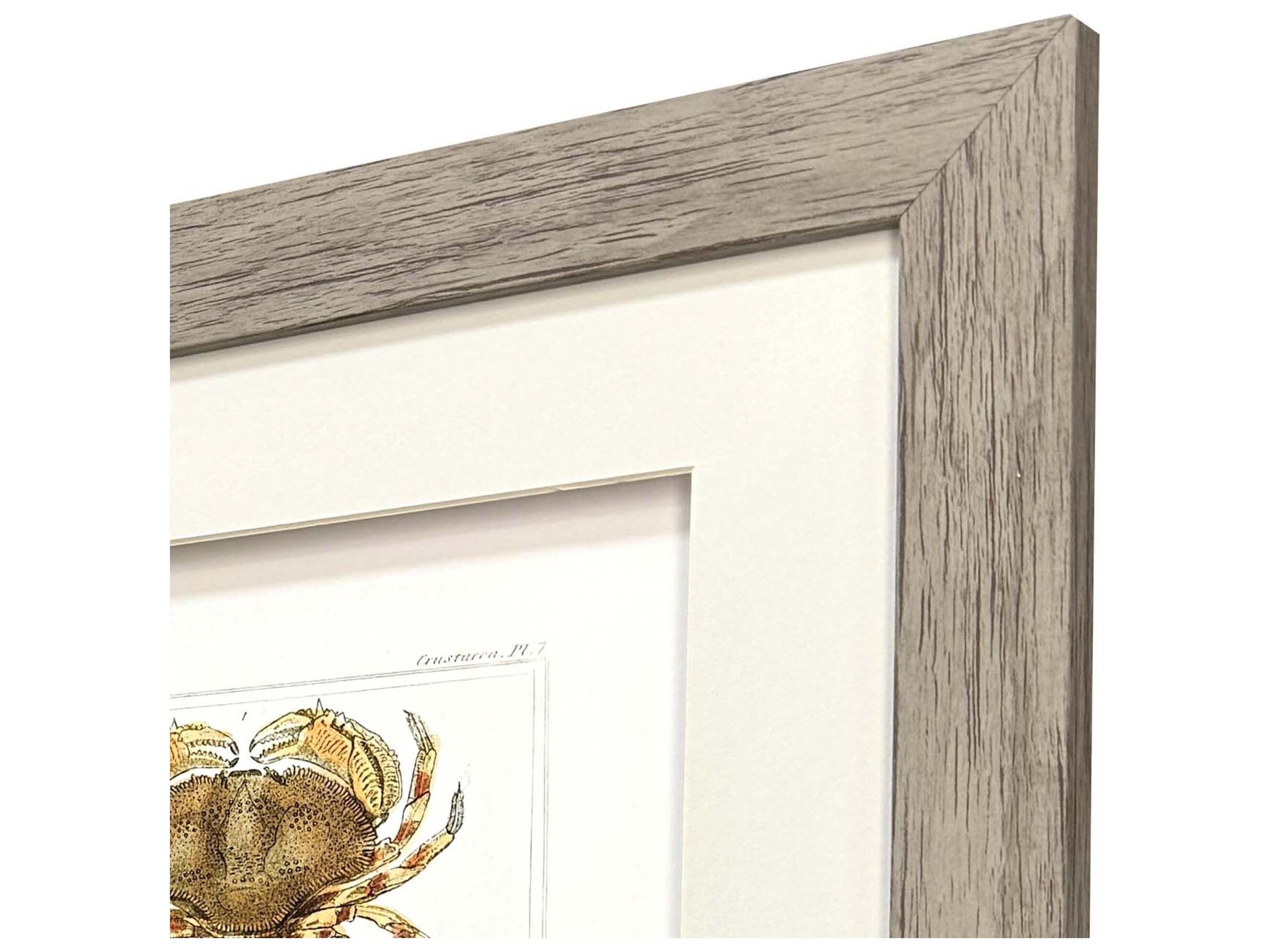 Paragon Antique Crab Framed Art - Set of 2