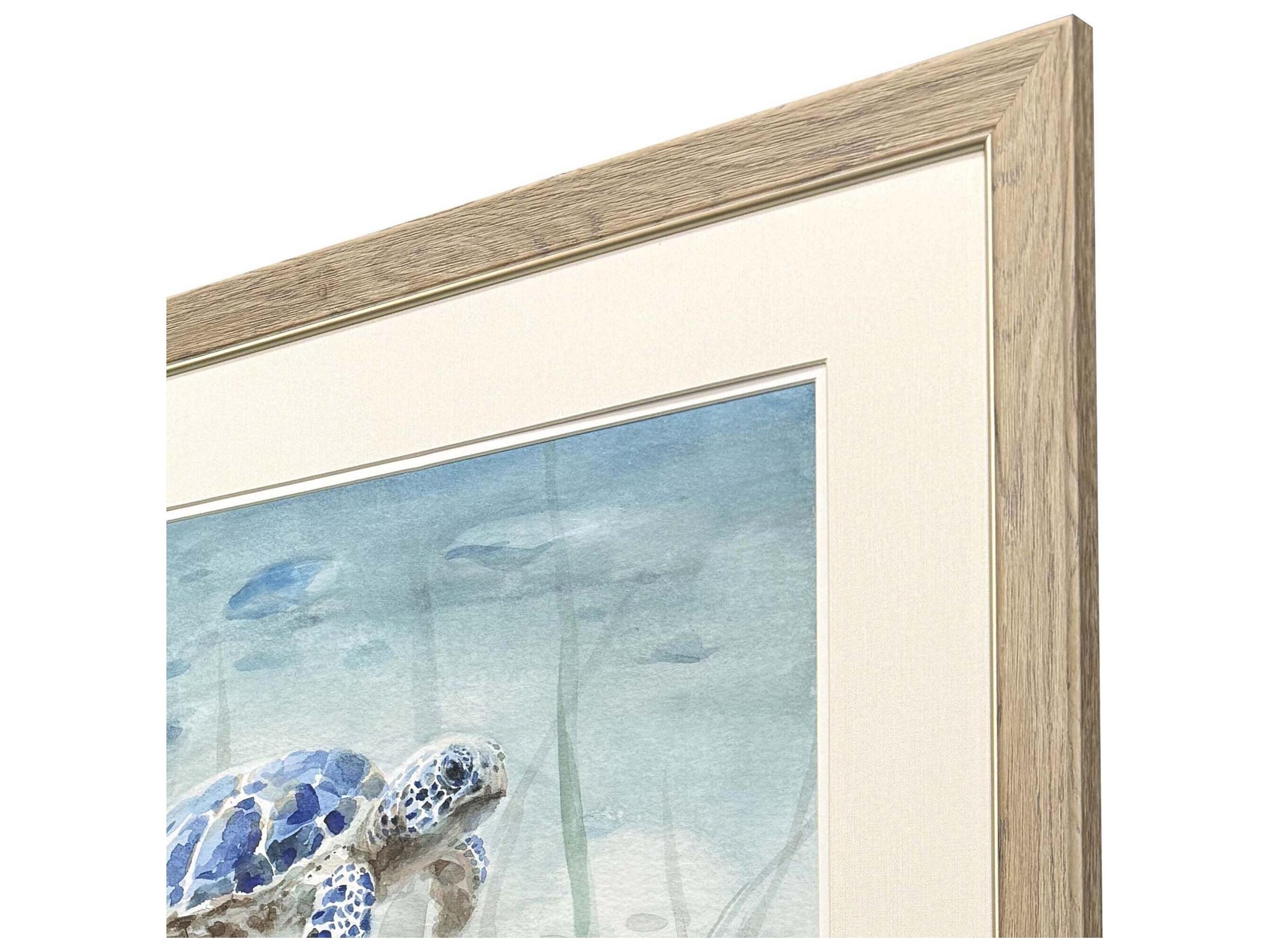 Paragon Undersea Ray Turtle Framed Art