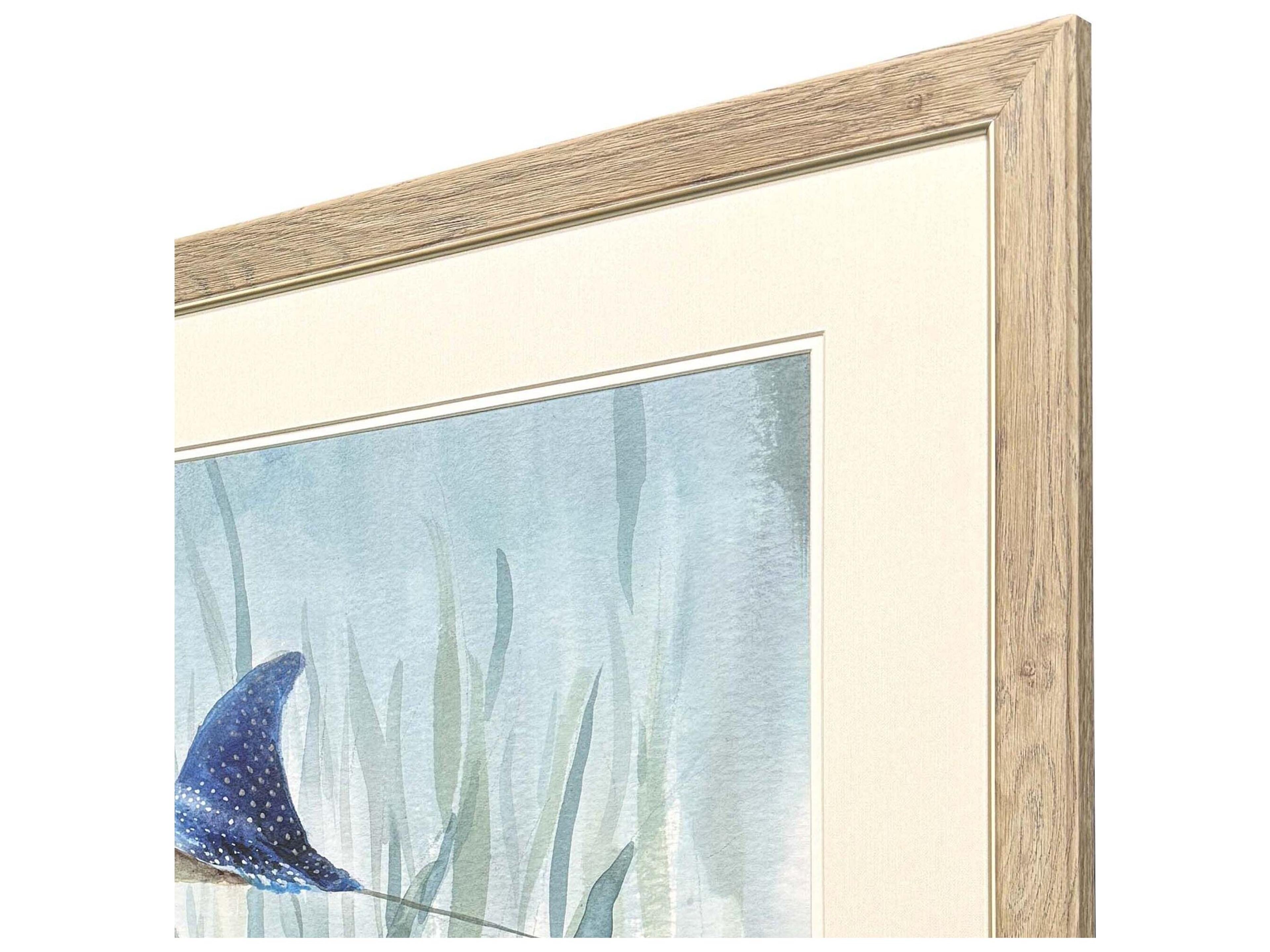 Paragon Undersea Ray Turtle Framed Art