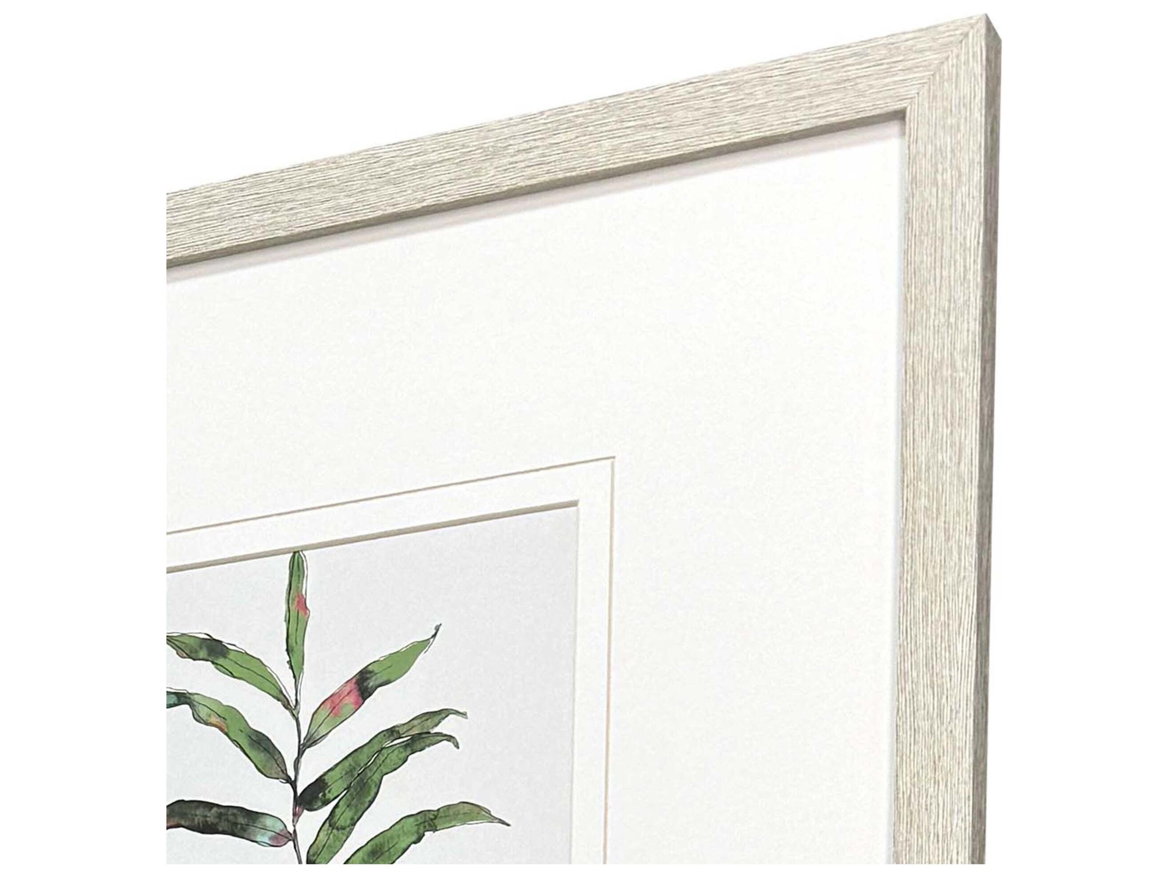 Paragon Palm Springs Leaves Framed Art - Set of 4