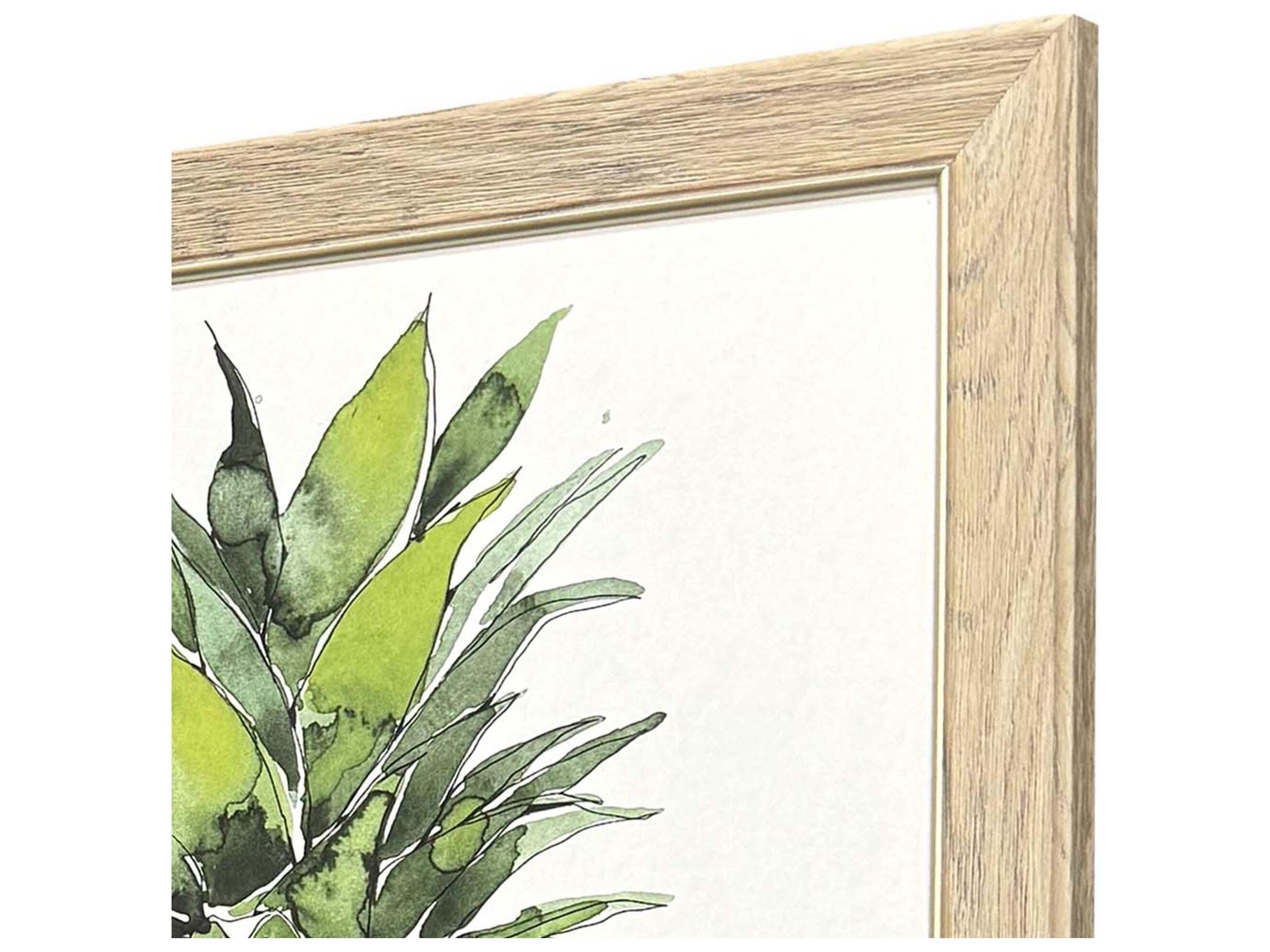 Paragon Palm Pineapples Framed Art - Set of 2