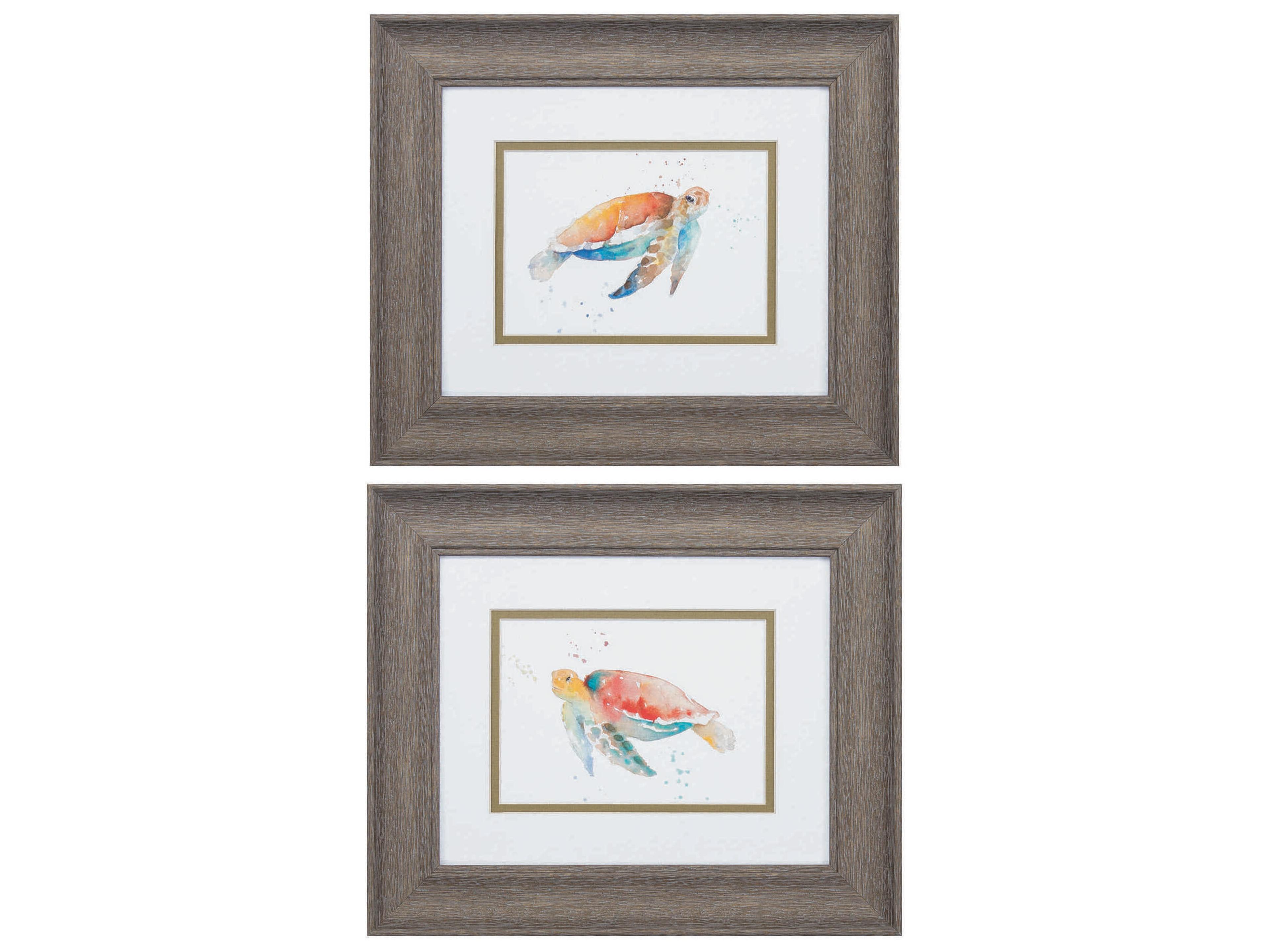 Paragon Waterside Sea Turtle Wall Art Set of 2
