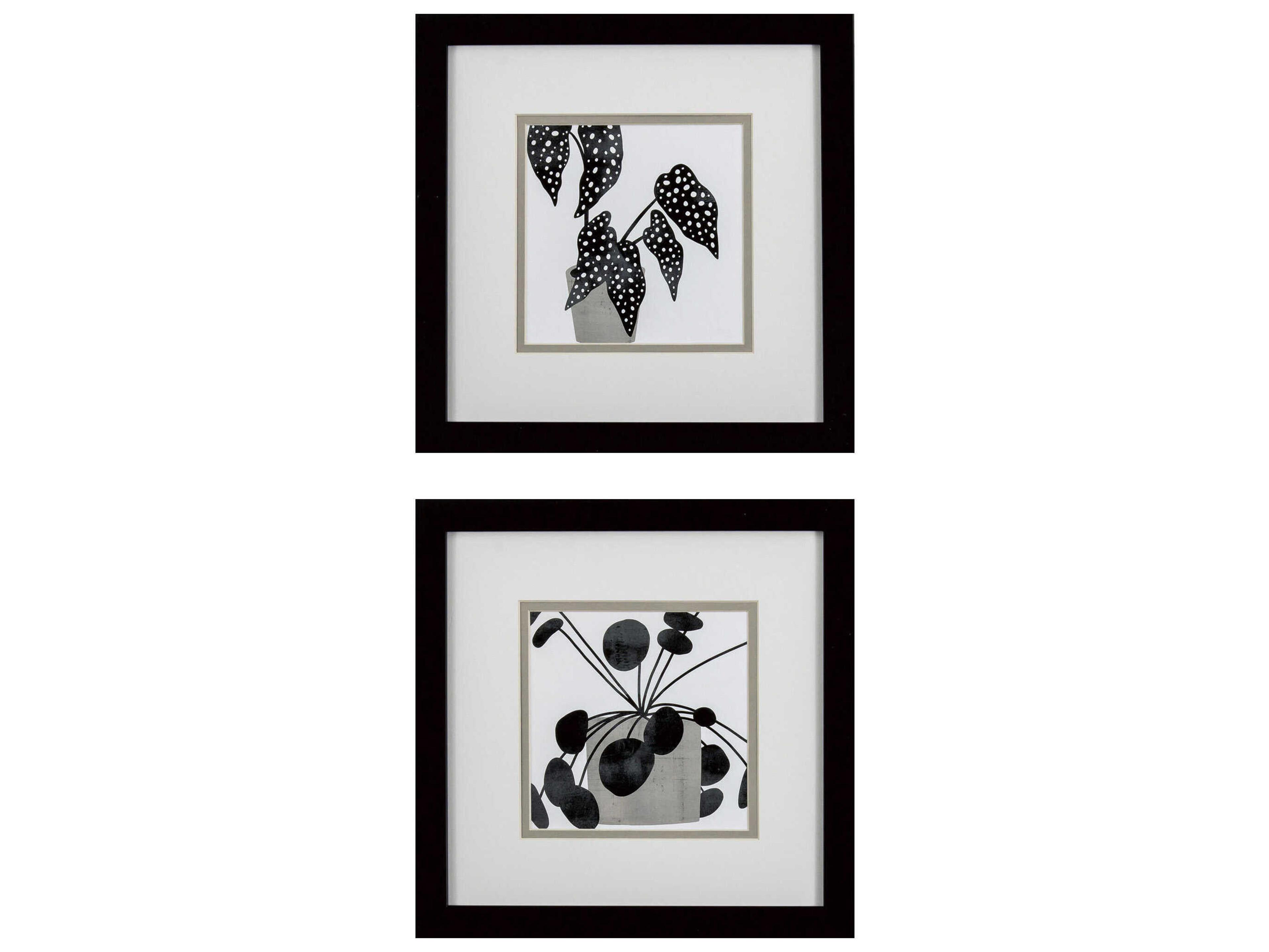Paragon Florals Plantling-B Wall Art Set of 2