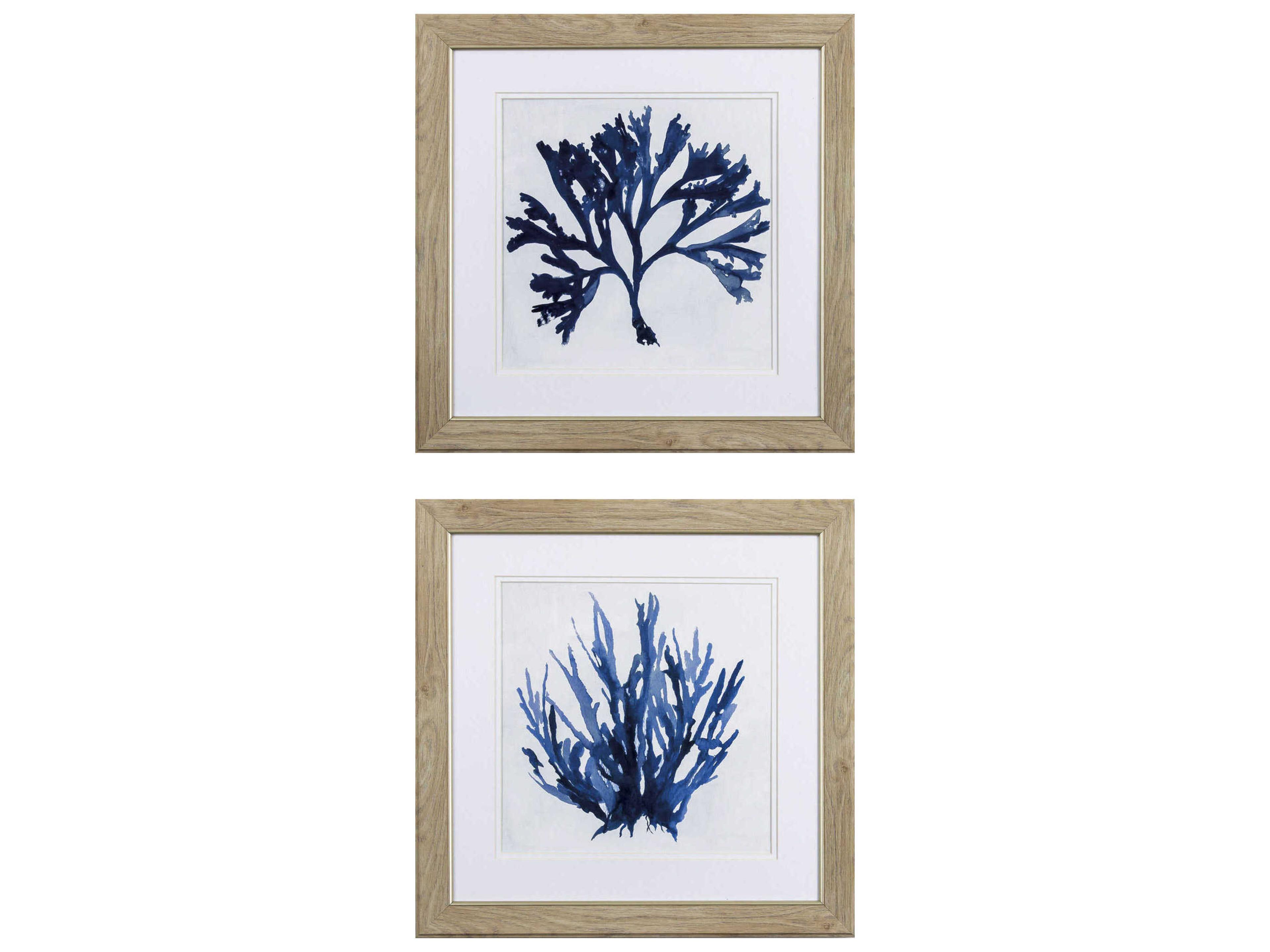Paragon Waterside Indigo Coral-A Wall Art Set of 2