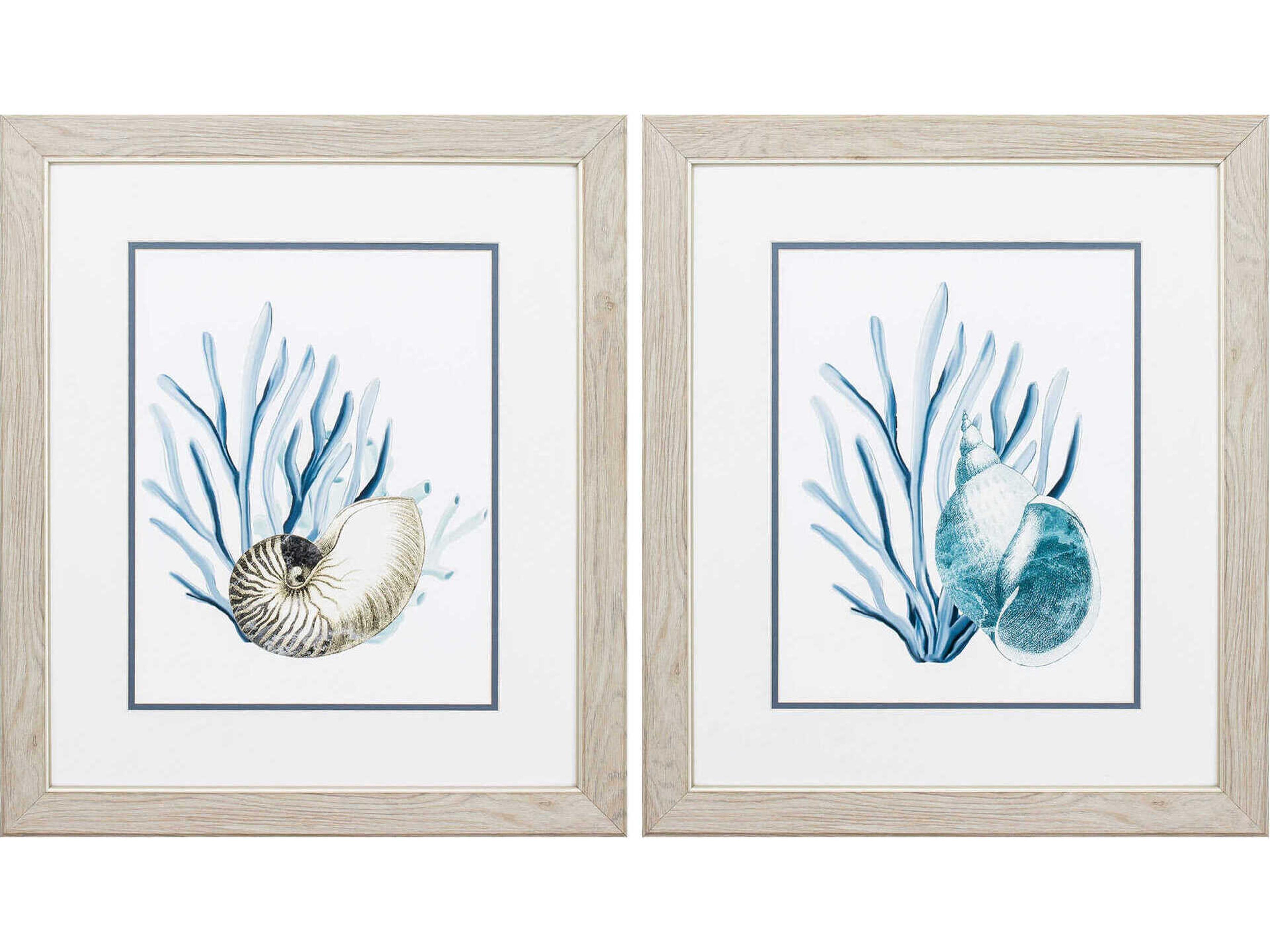 Waterside Shells & Seaweeds Wall Art Set of 2