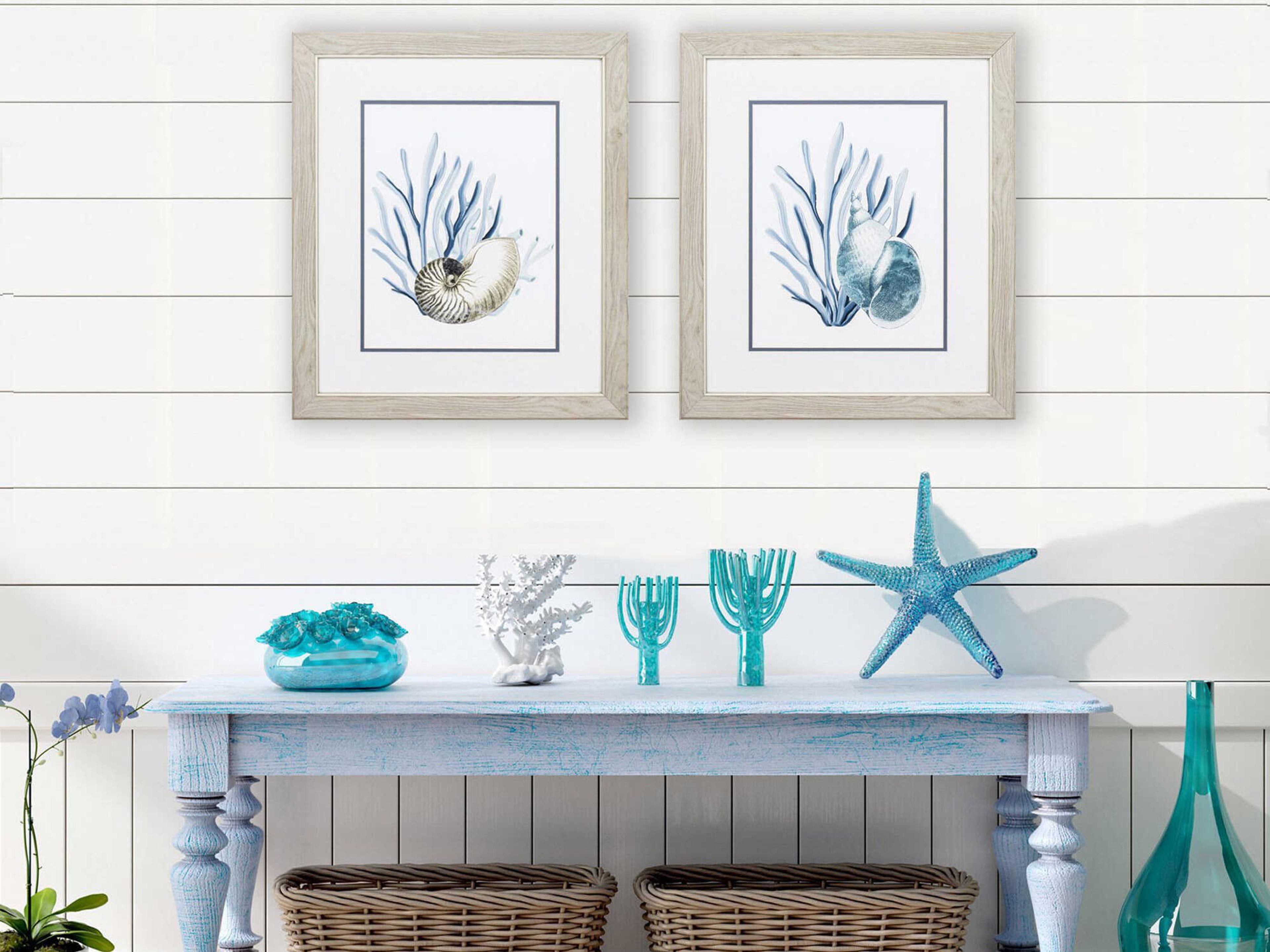 Paragon Waterside Shells & Seaweeds Wall Art Set of 2