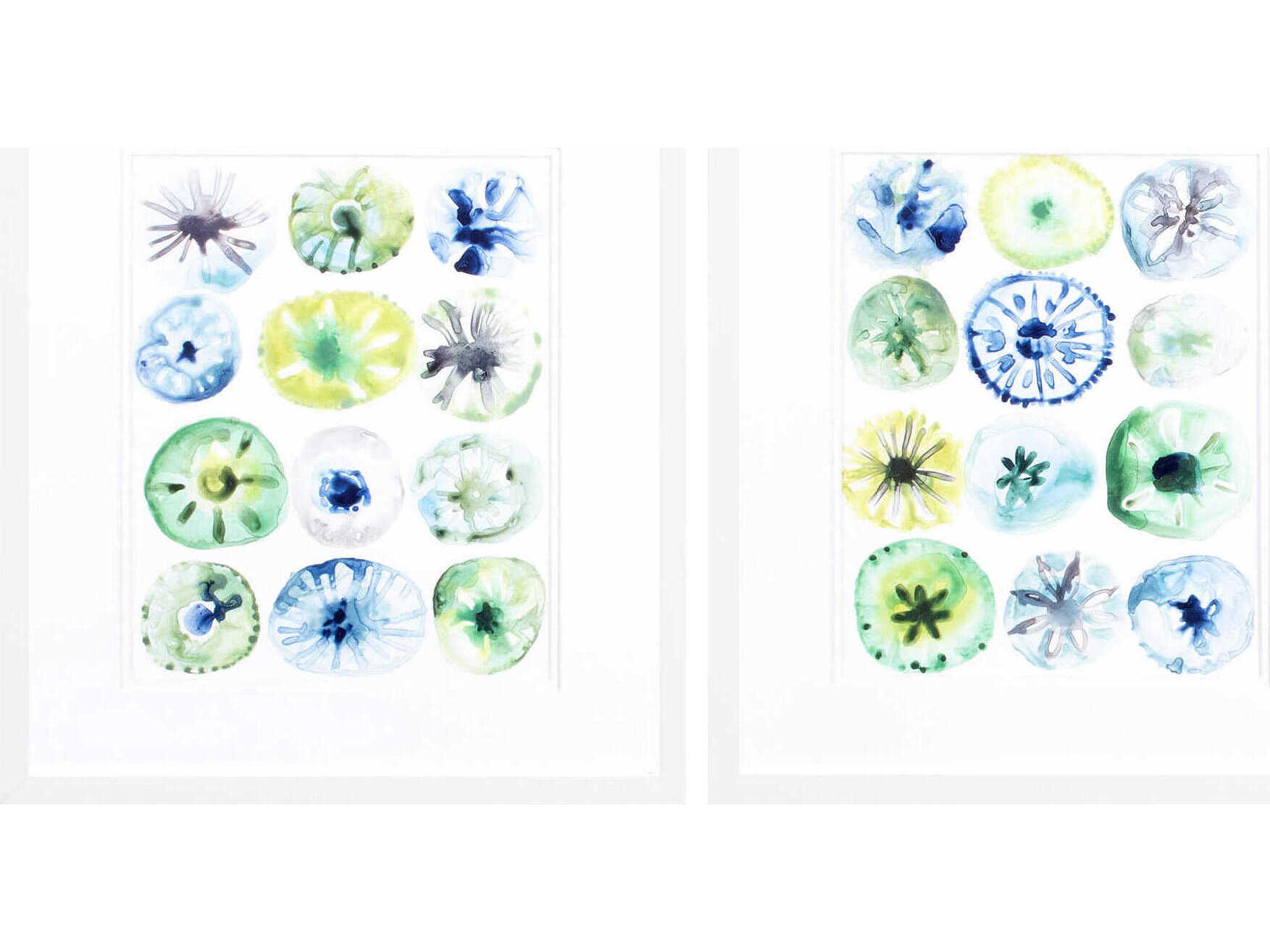 Paragon Waterside Sea Urchin Assortment Wall Art Set of 2