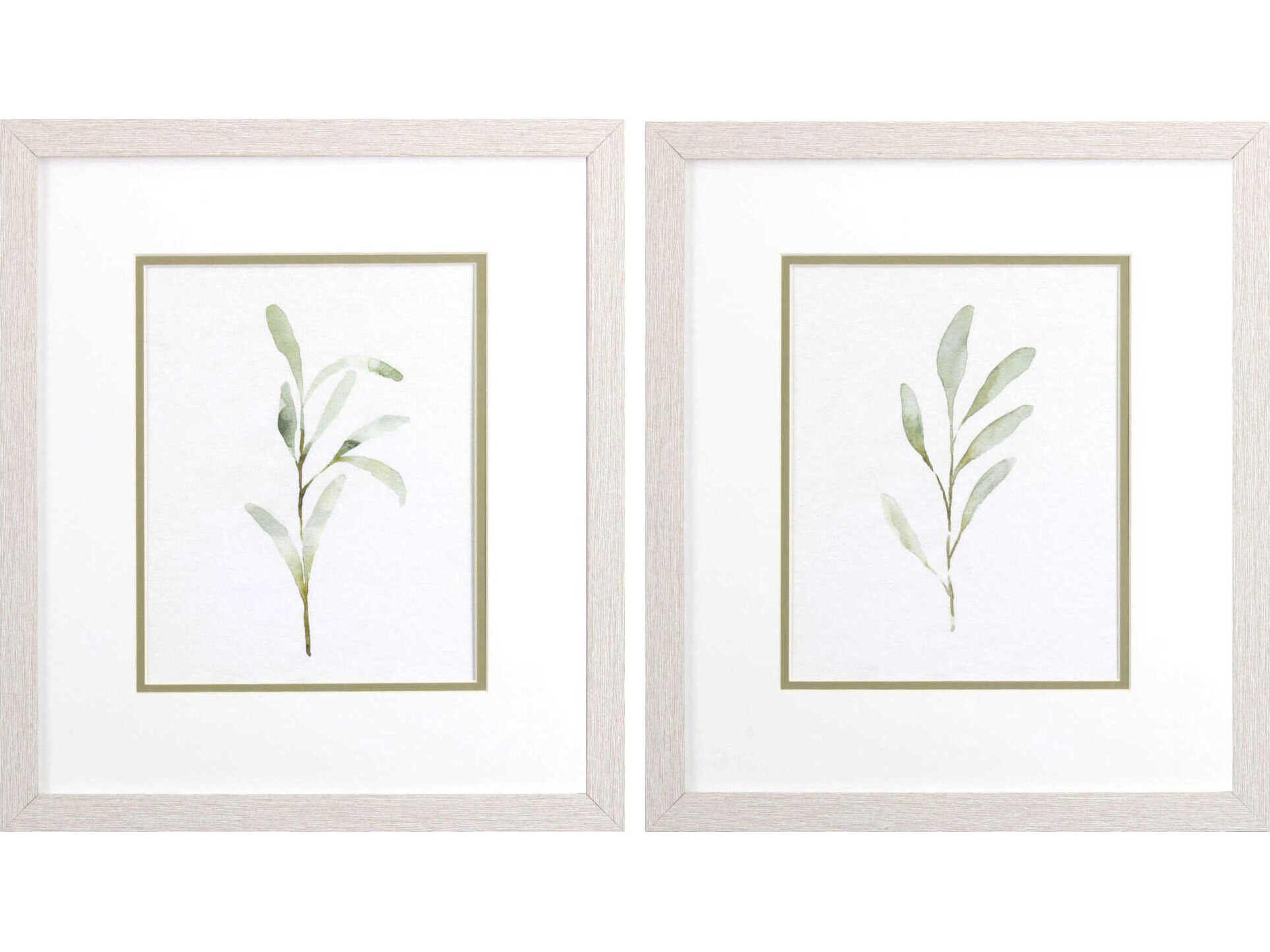 Paragon Florals Olive Leaves Wall Art Set of 2