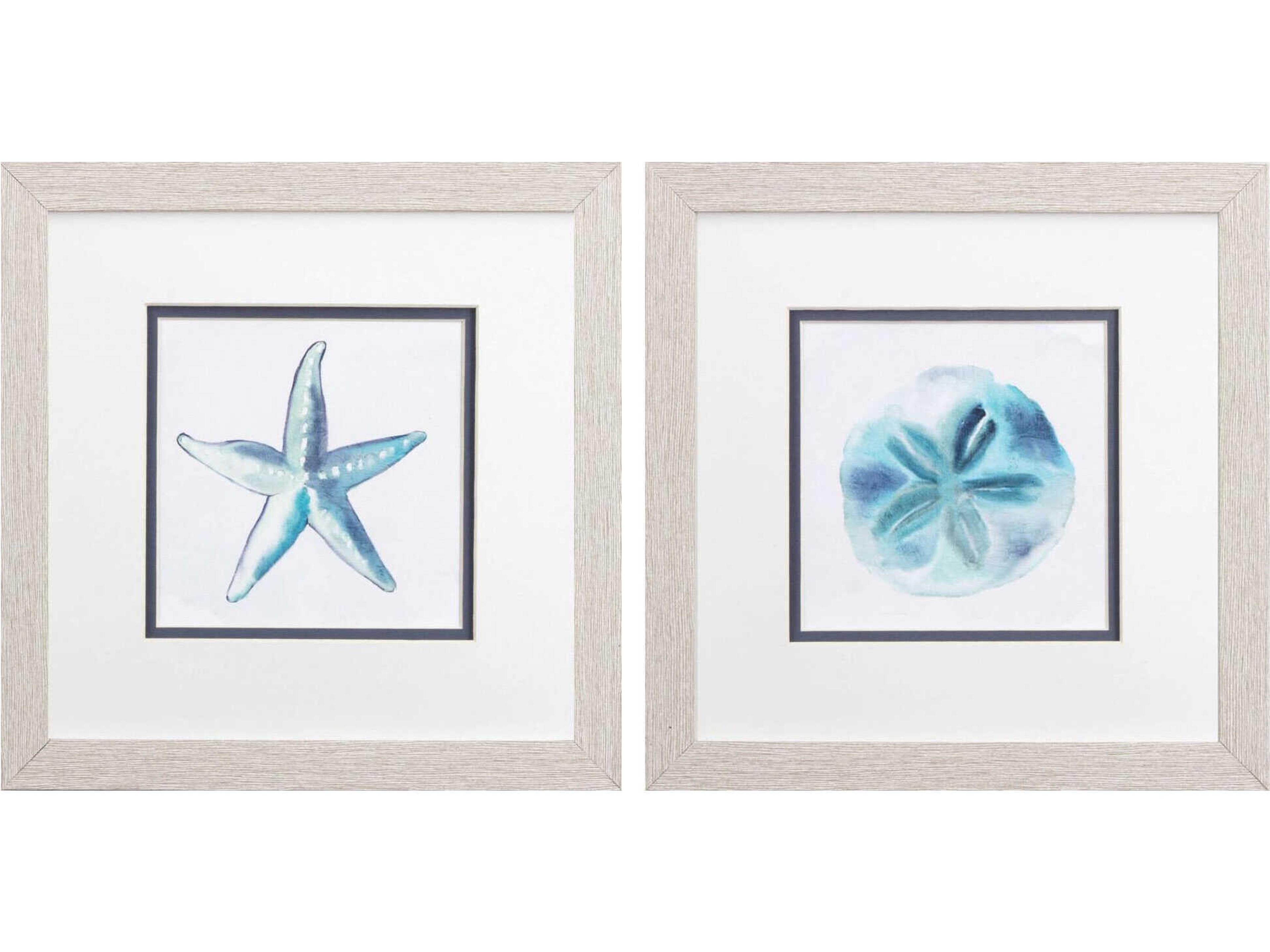 Paragon Waterside Starfish Sand Dollar Wall Art Set of 2