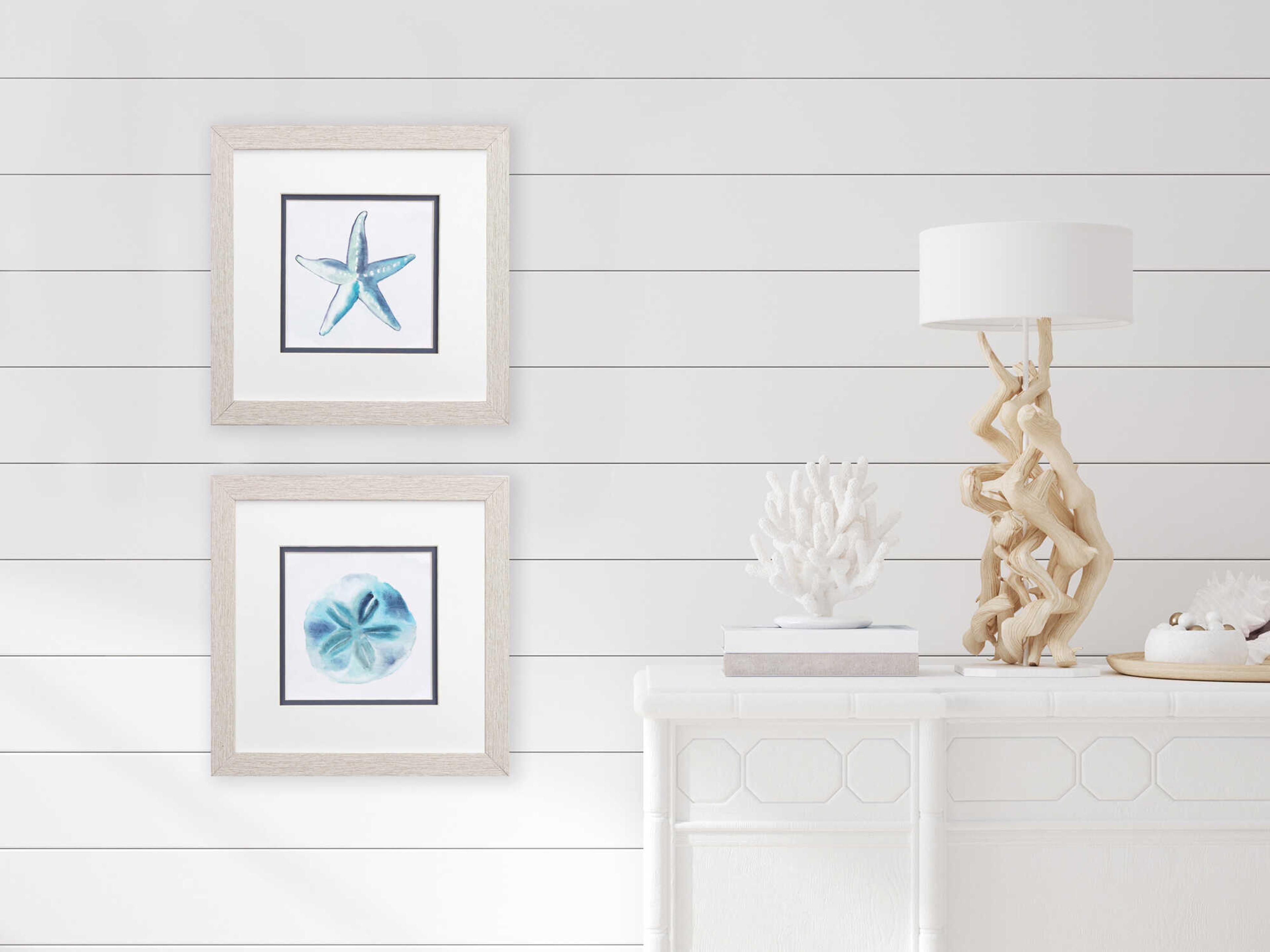 Paragon Waterside Starfish Sand Dollar Wall Art Set of 2