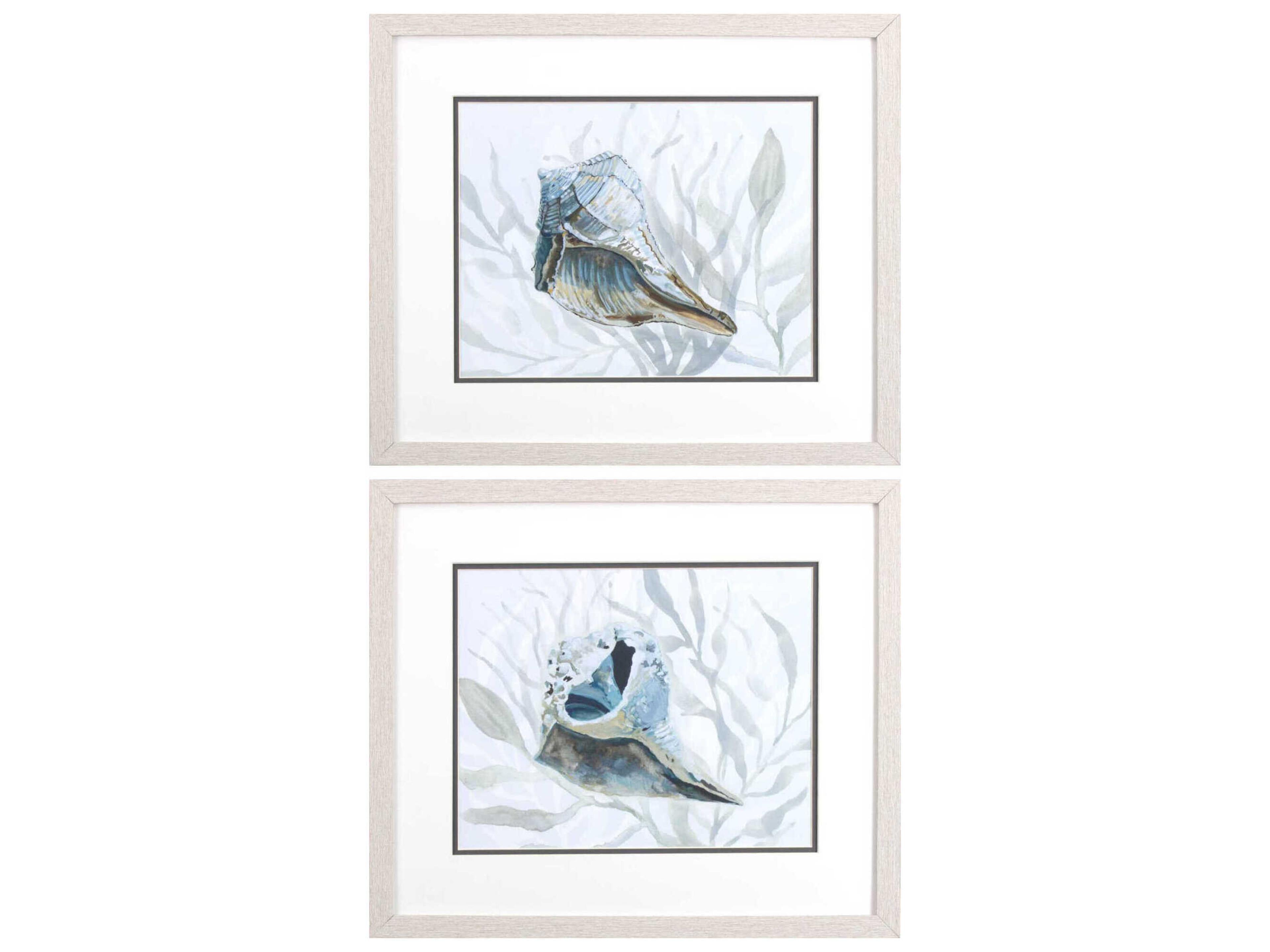 Waterside Ocean Beauty-B Wall Art Set of 2