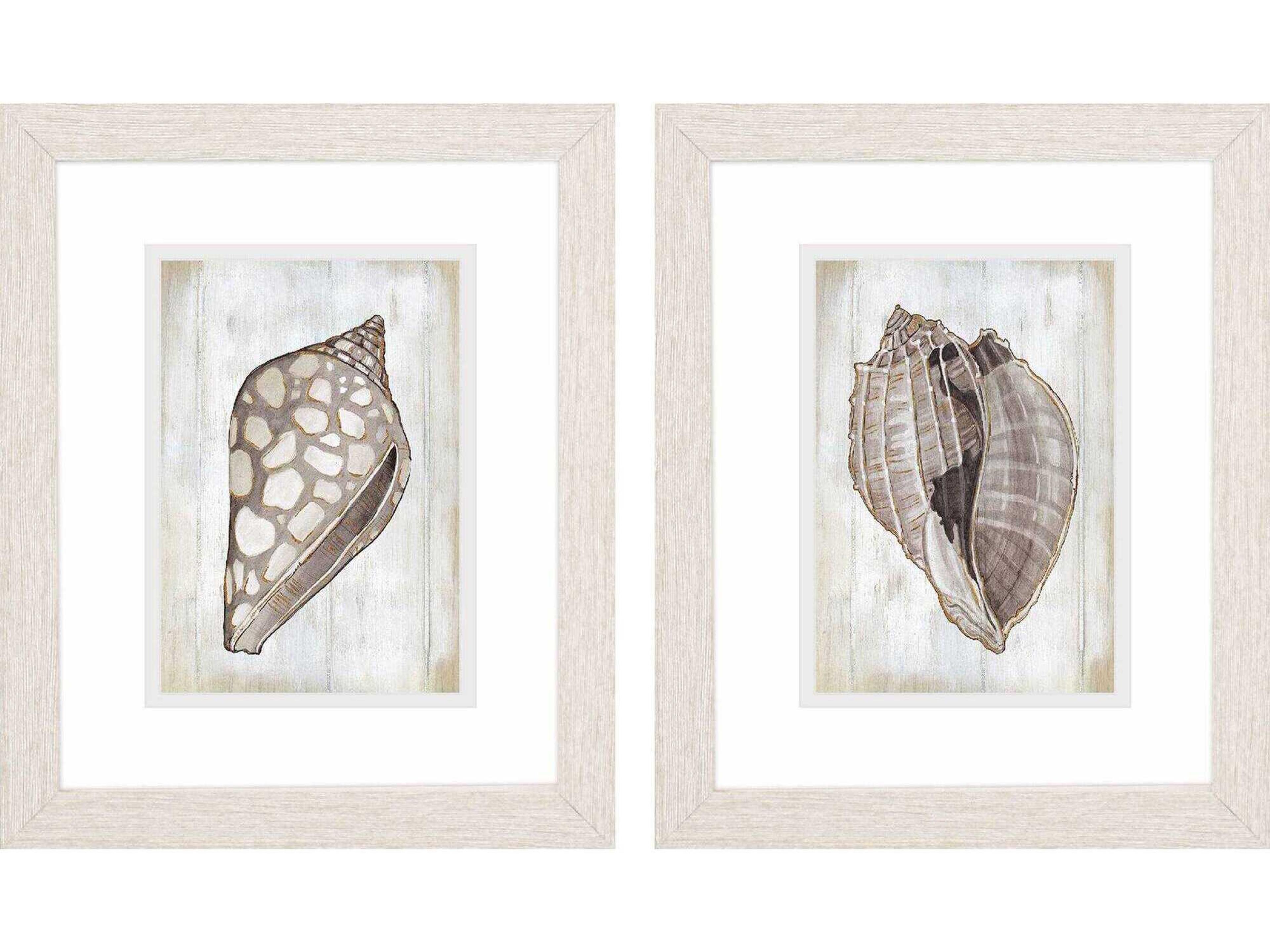 Waterside Ocean Cone Wall Art Set of 2