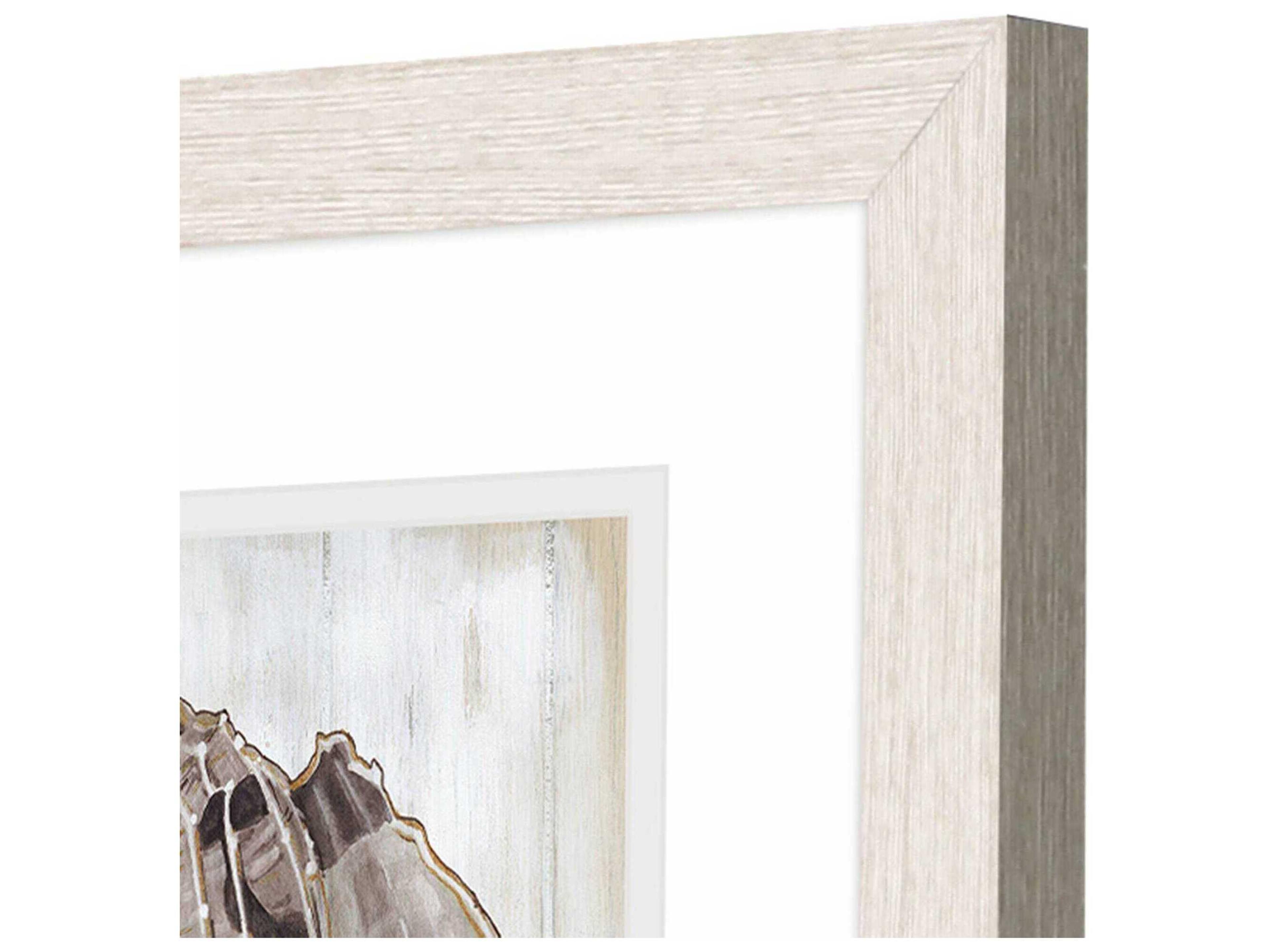 Paragon Waterside Ocean Cone Wall Art Set of 2