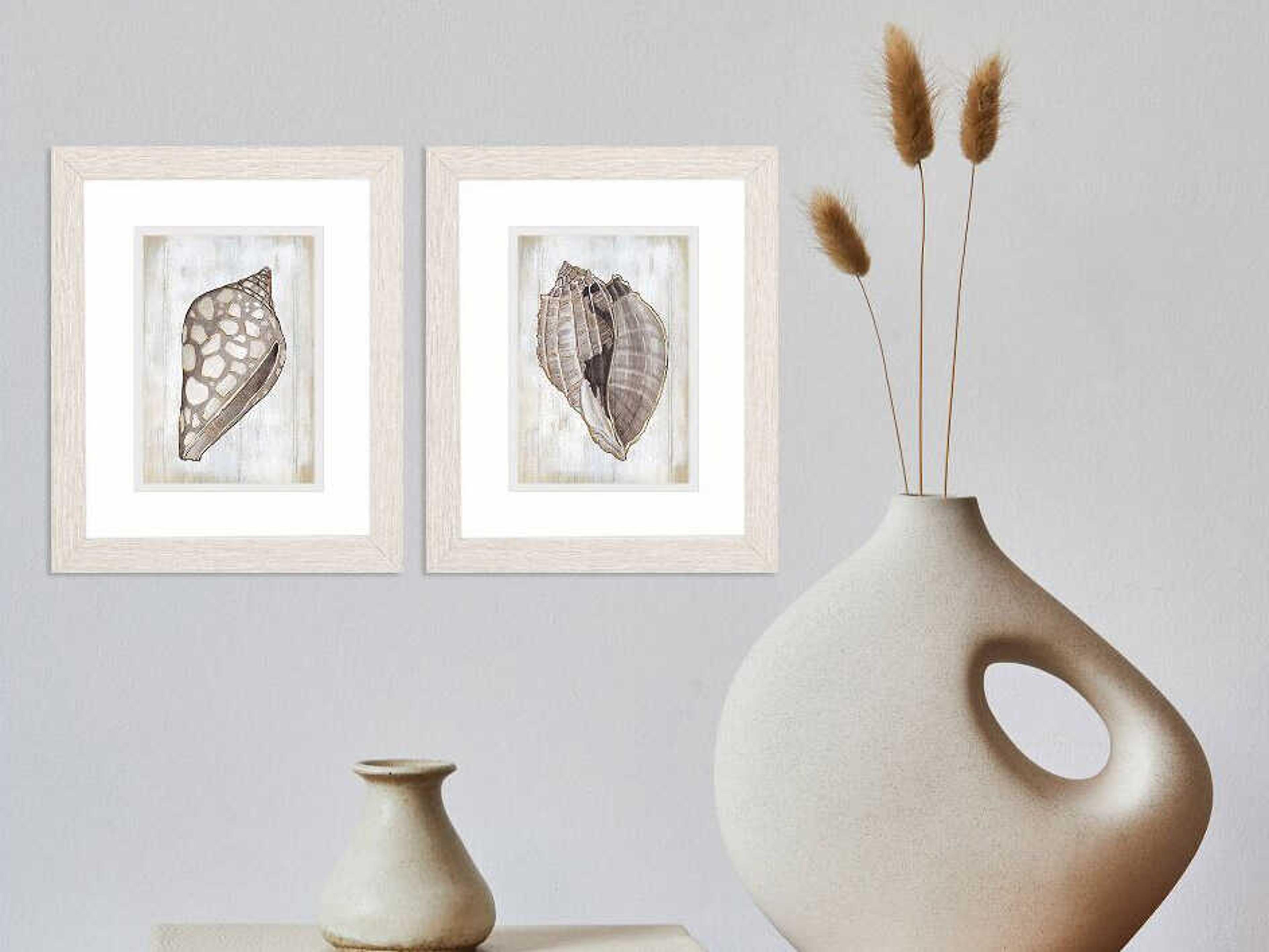 Paragon Waterside Ocean Cone Wall Art Set of 2