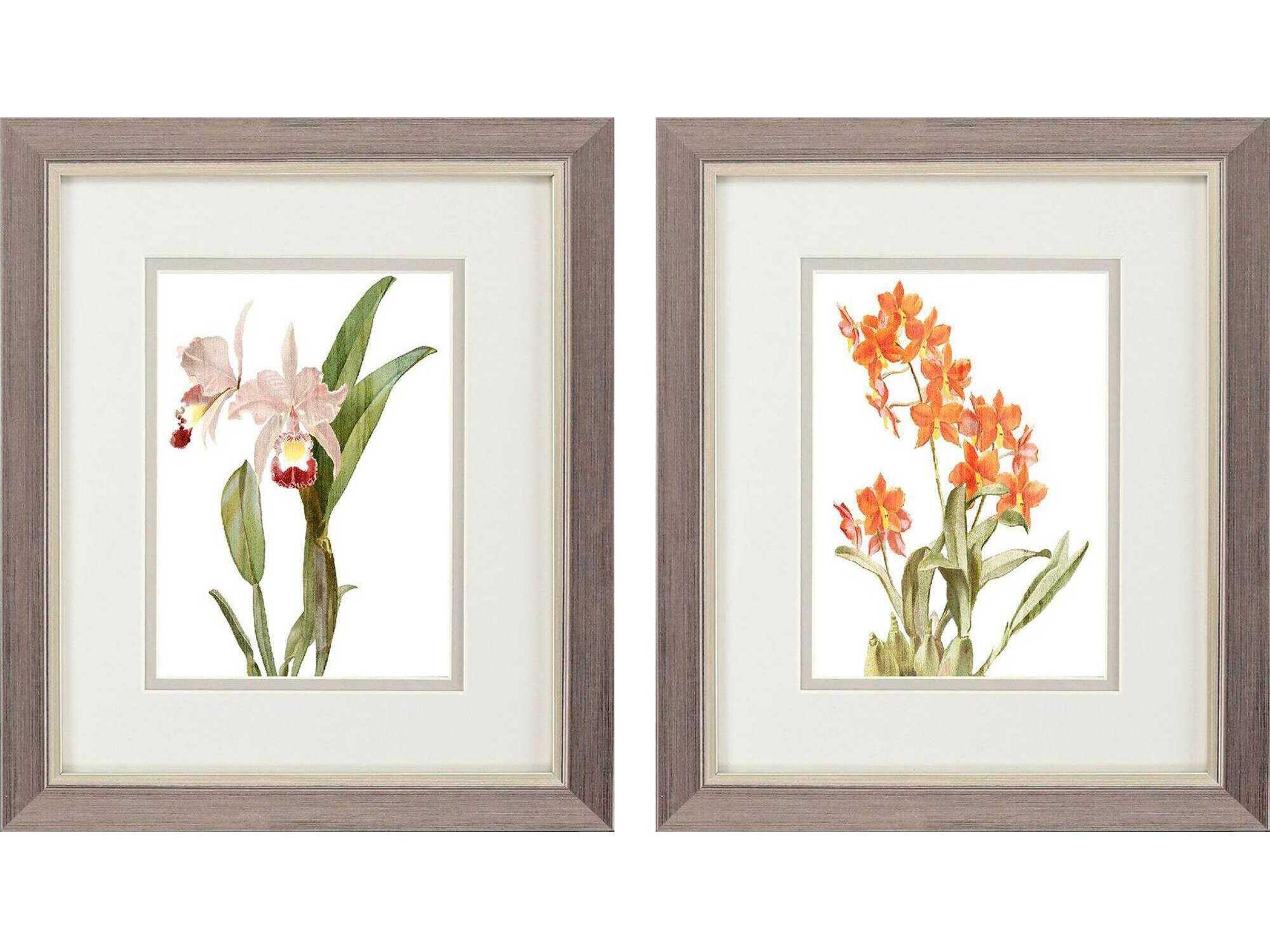 Florals Floral Beauty-I Wall Art Set of 2