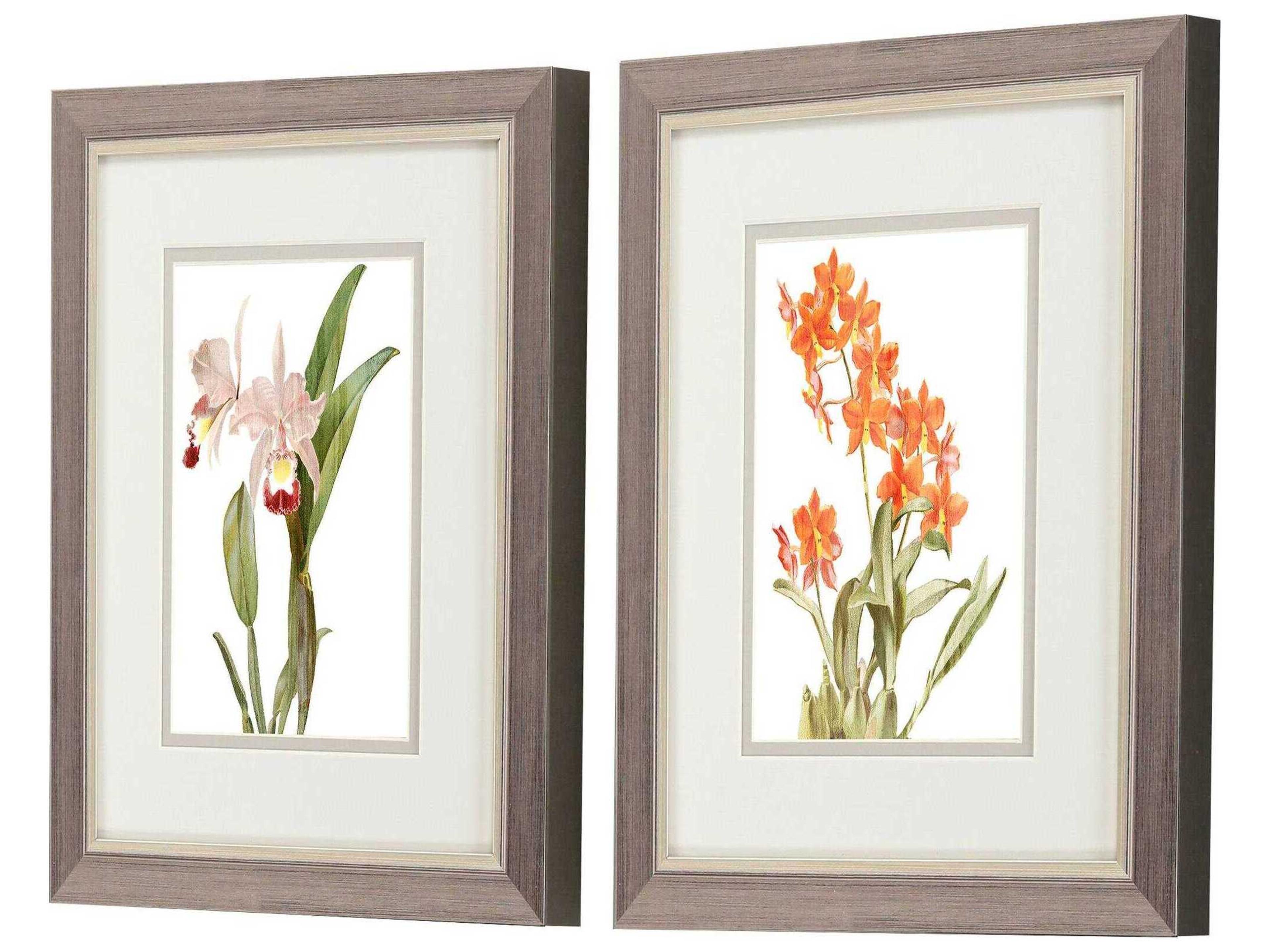 Paragon Florals Floral Beauty-I Wall Art Set of 2