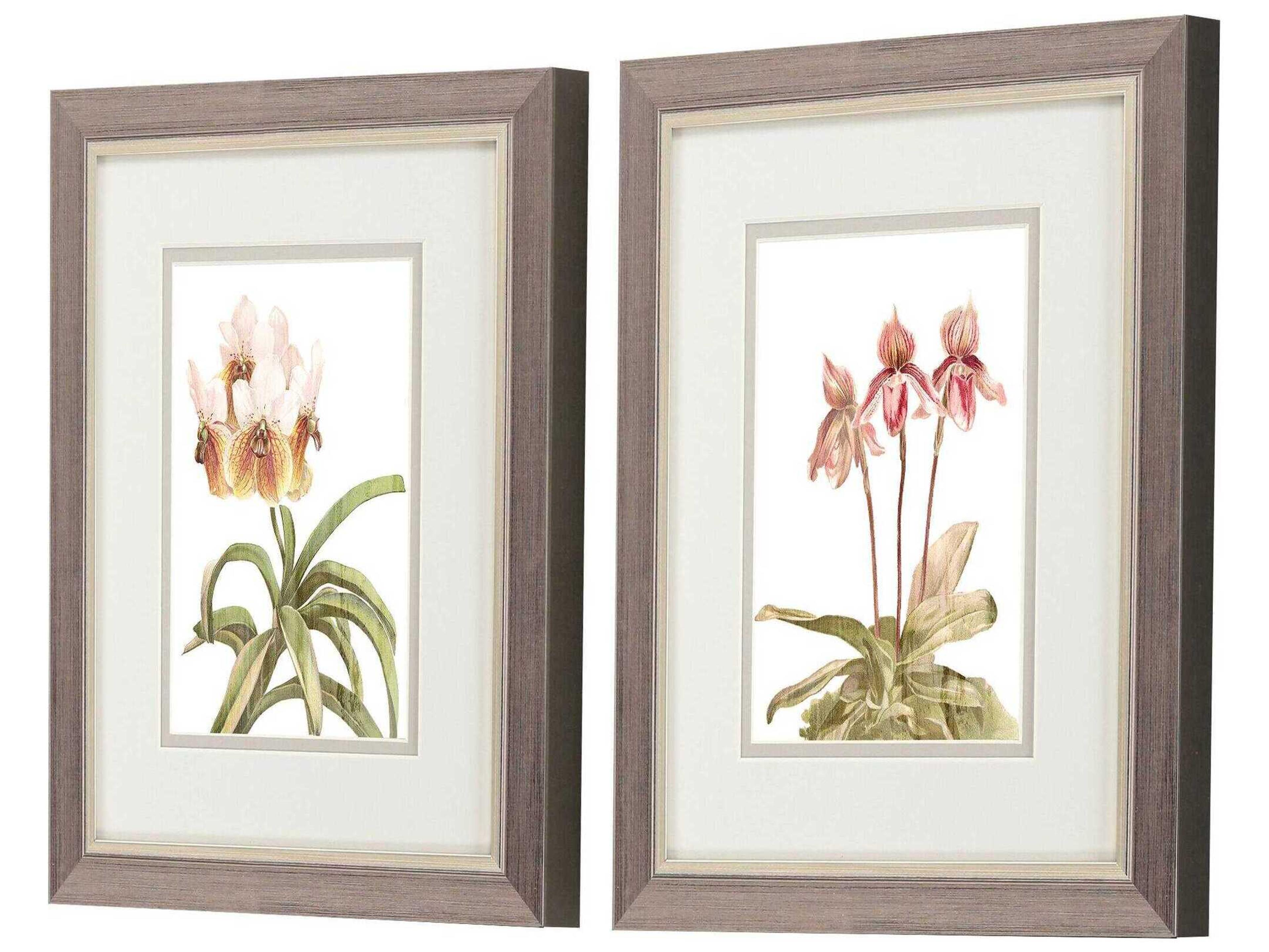 Paragon Florals Floral Beauty-II Wall Art Set of 2