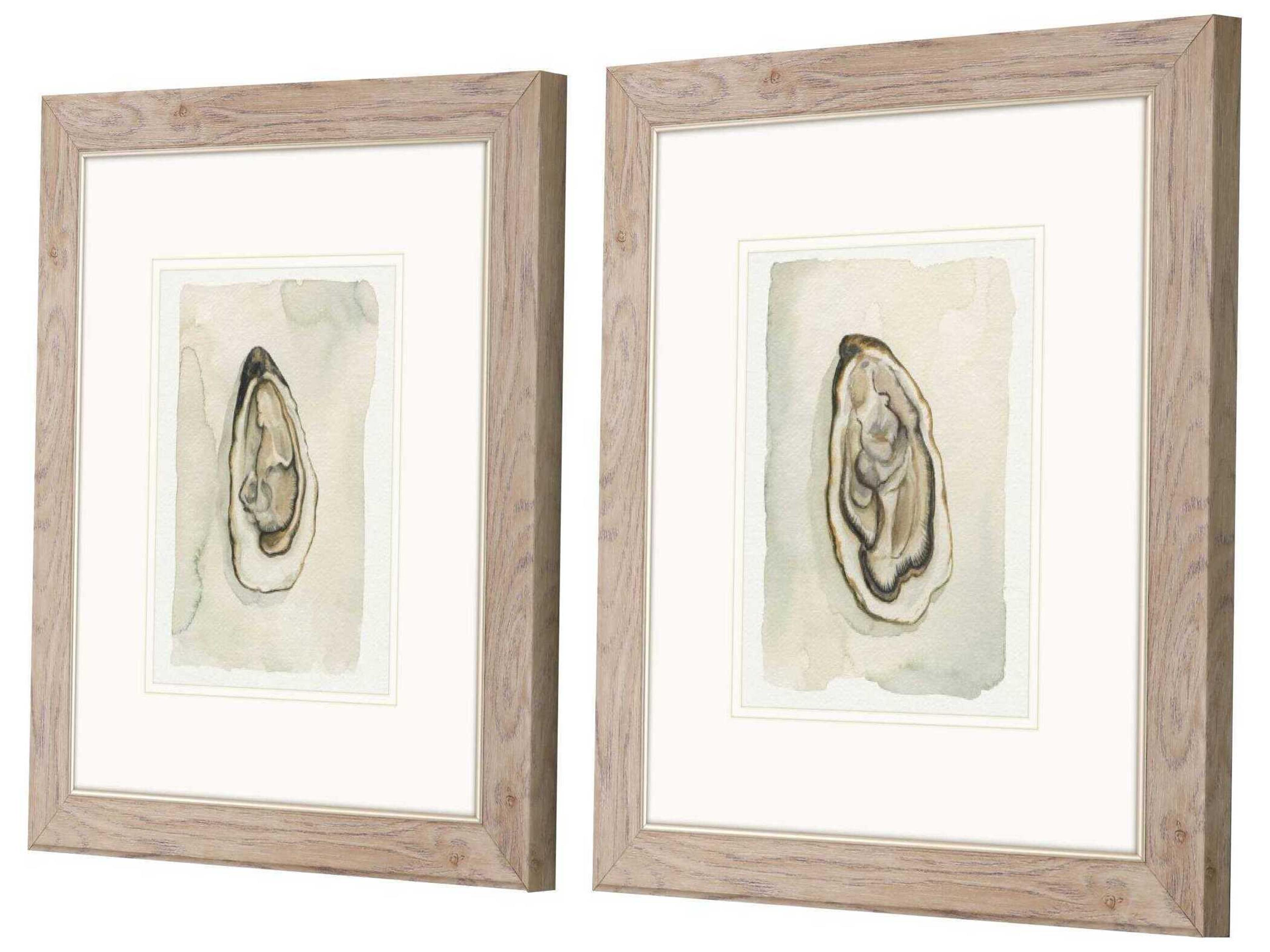 Paragon Waterside Soft Half Shell Wall Art Set of 2