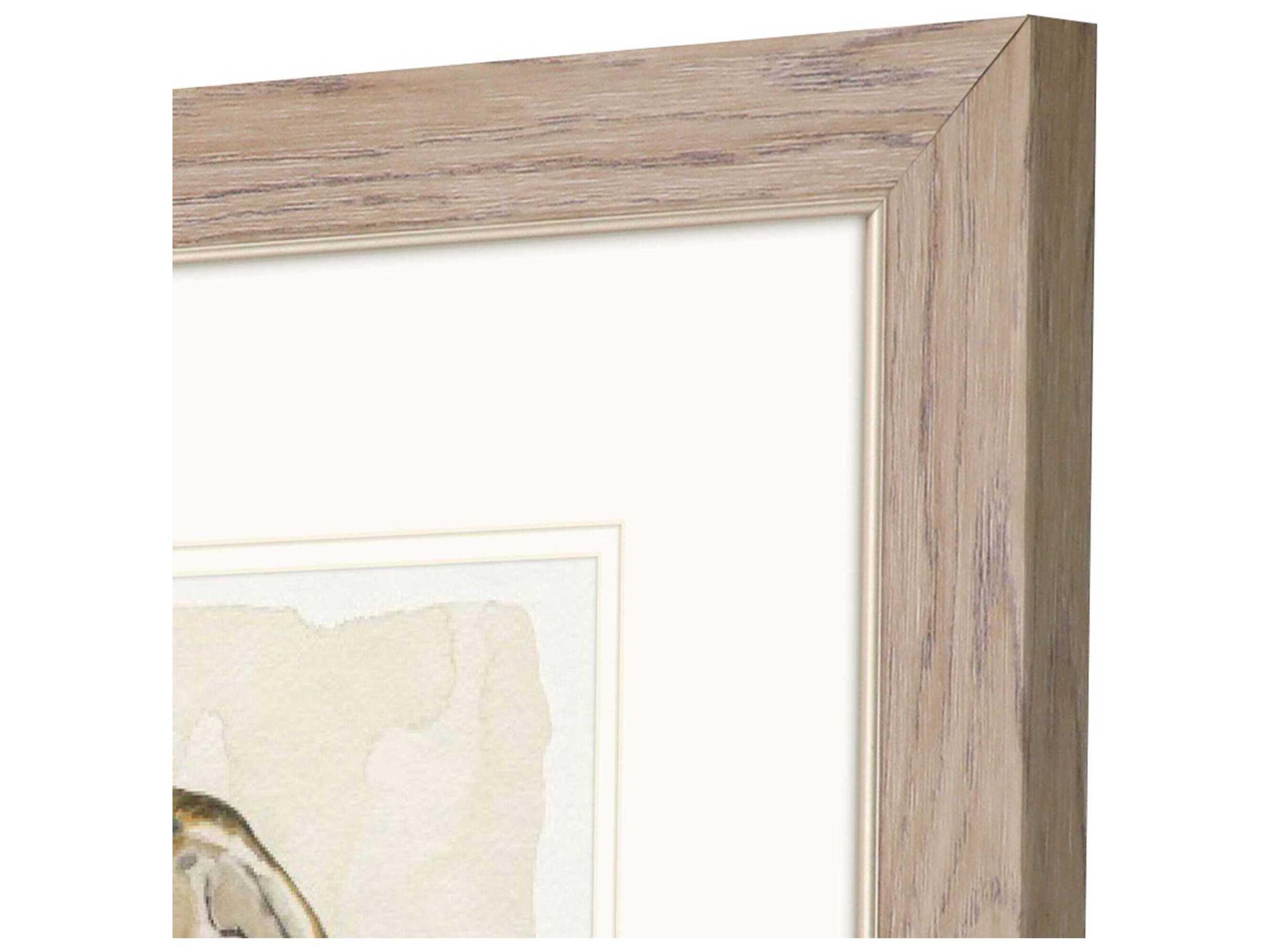 Paragon Waterside Soft Half Shell Wall Art Set of 2