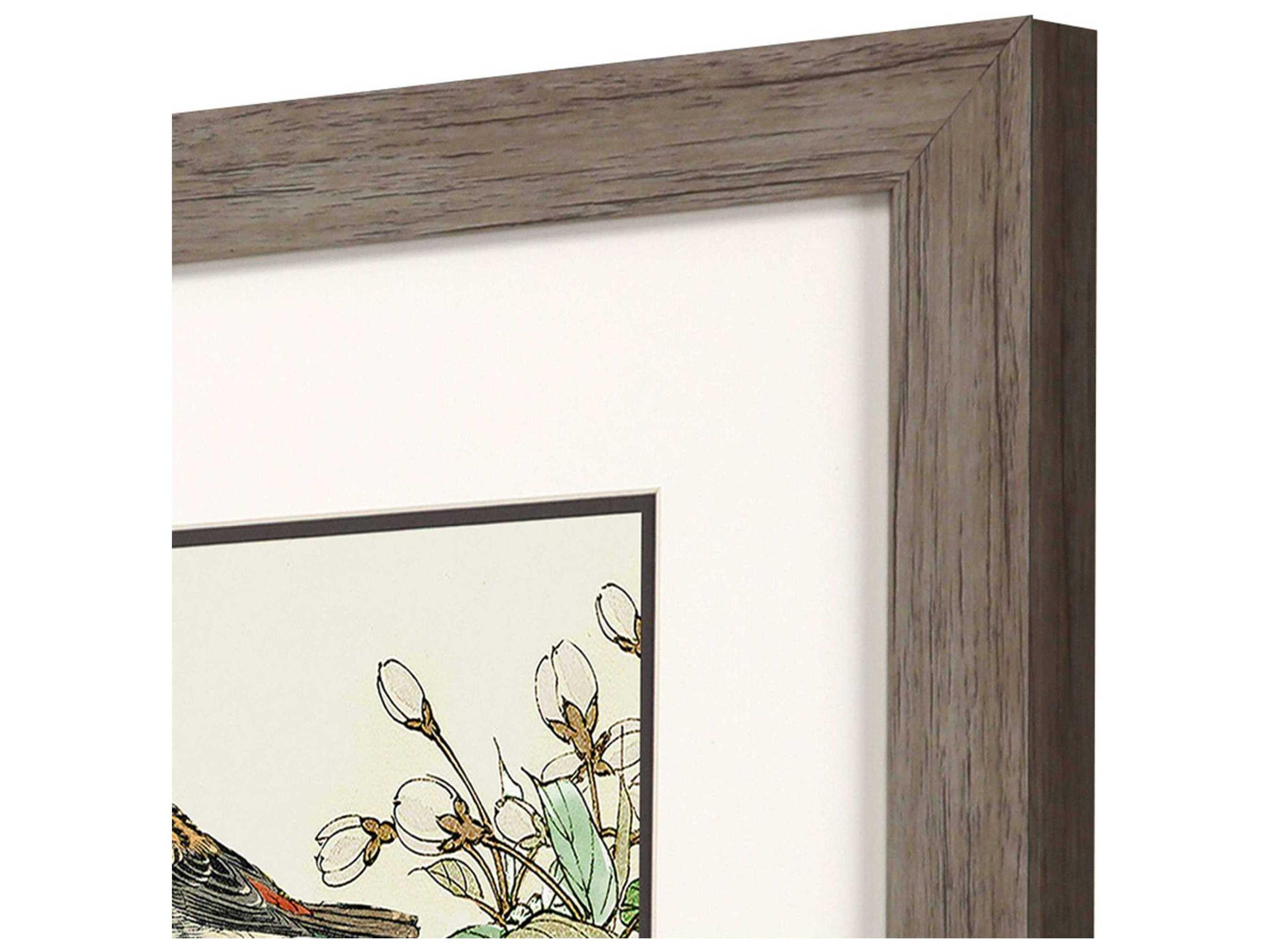 Paragon Animals Timeless Nature Wall Art Set of 2